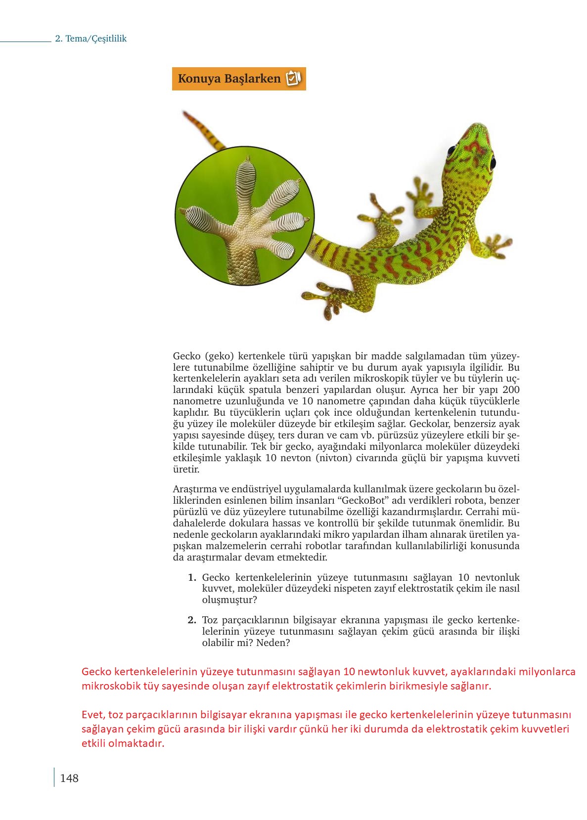 9. Sınıf Meb Yayınları Kimya Ders Kitabı Sayfa 148 Cevapları