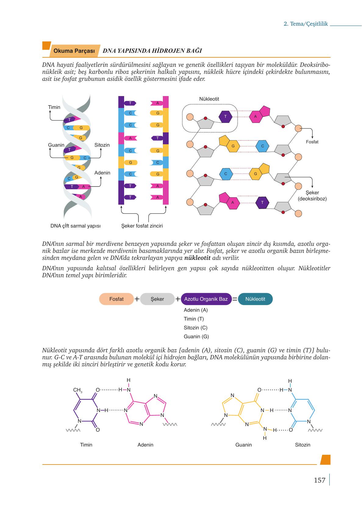 9. Sınıf Meb Yayınları Kimya Ders Kitabı Sayfa 157 Cevapları