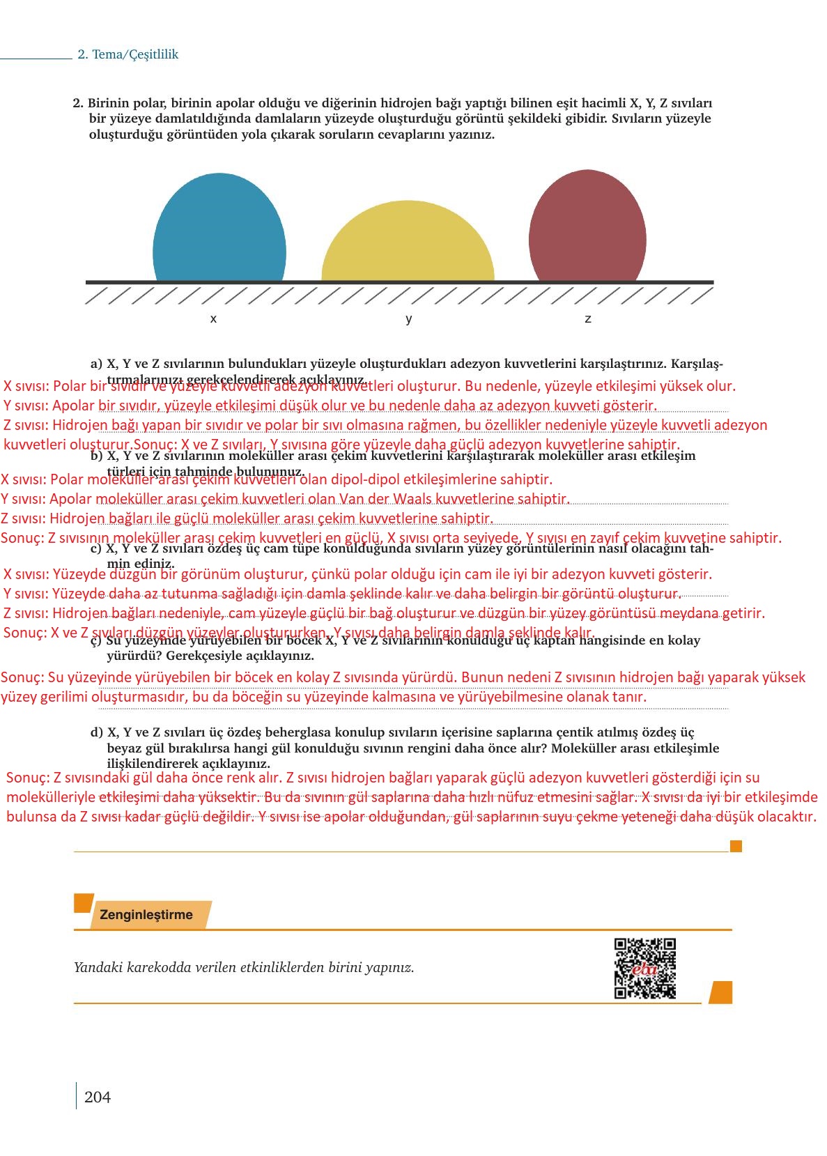 9. Sınıf Meb Yayınları Kimya Ders Kitabı Sayfa 204 Cevapları