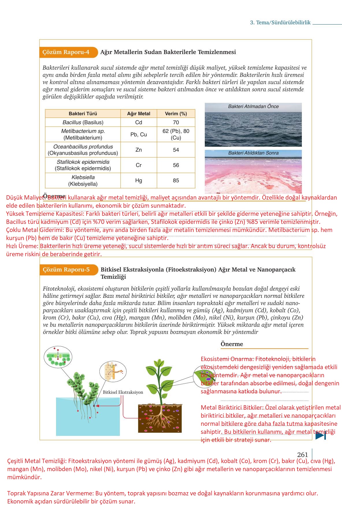 9. Sınıf Meb Yayınları Kimya Ders Kitabı Sayfa 261 Cevapları