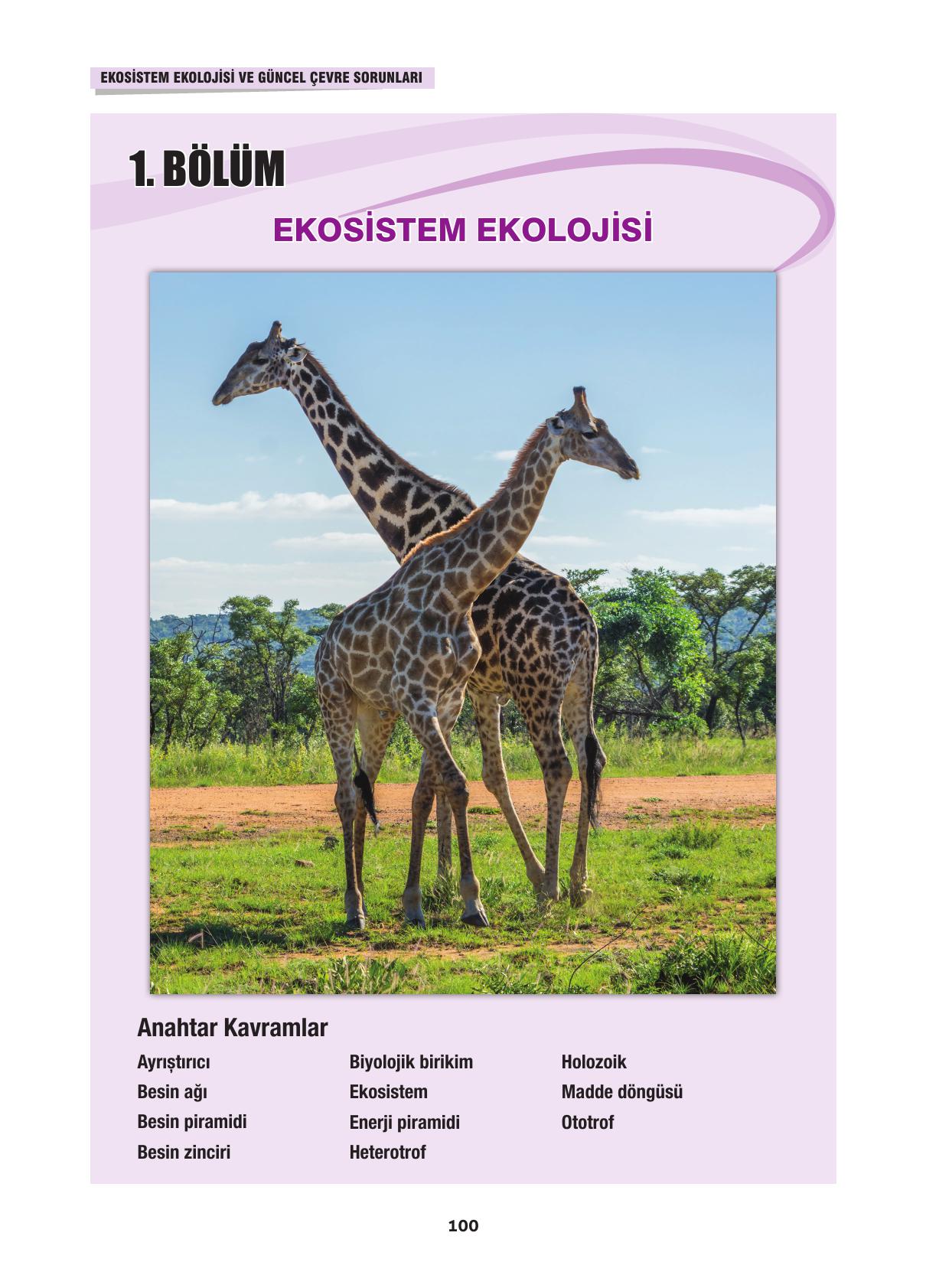 10. Sınıf Dörtel Yayınları Biyoloji Ders Kitabı Sayfa 100 Cevapları