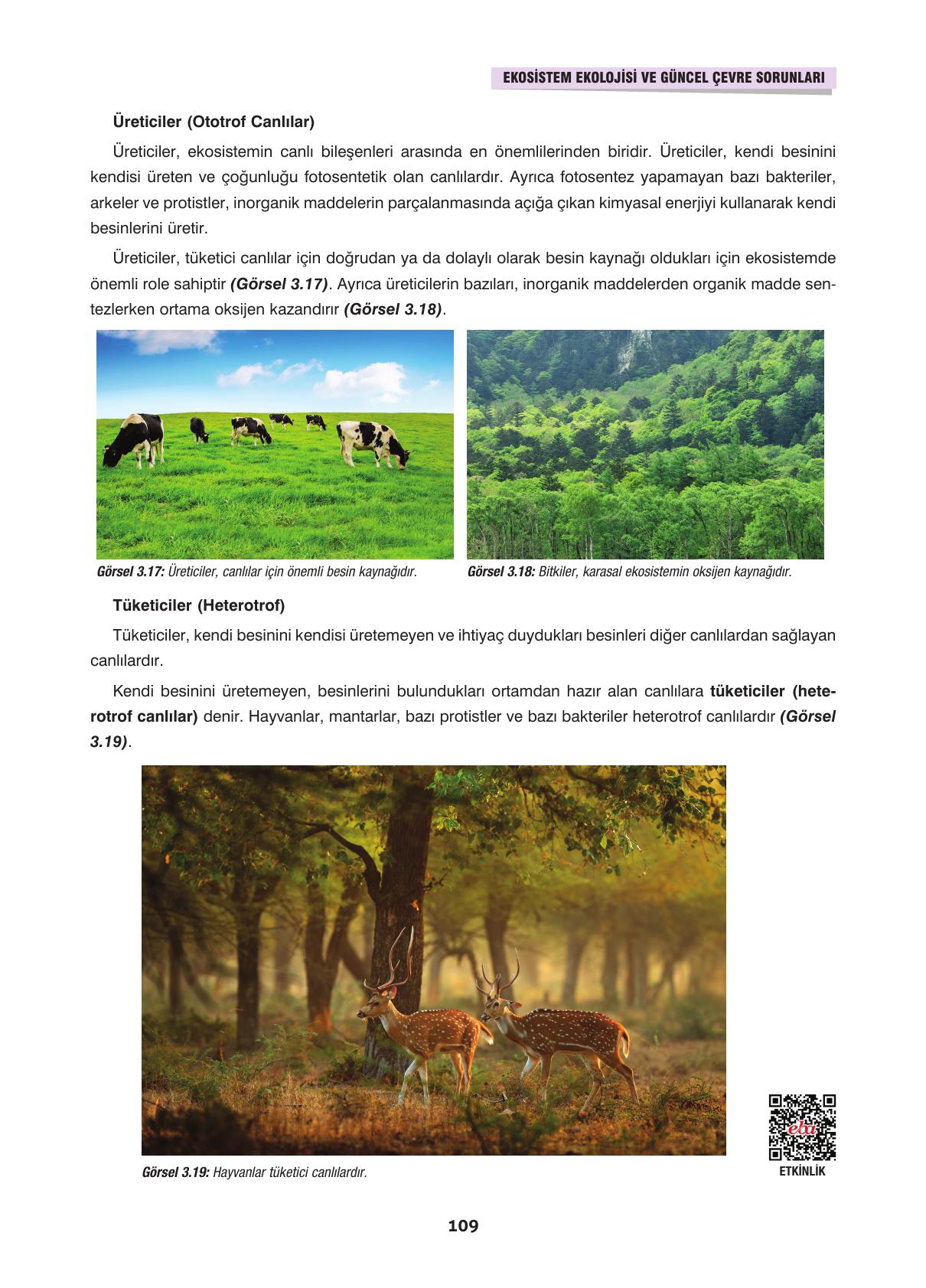 10. Sınıf Dörtel Yayınları Biyoloji Ders Kitabı Sayfa 109 Cevapları