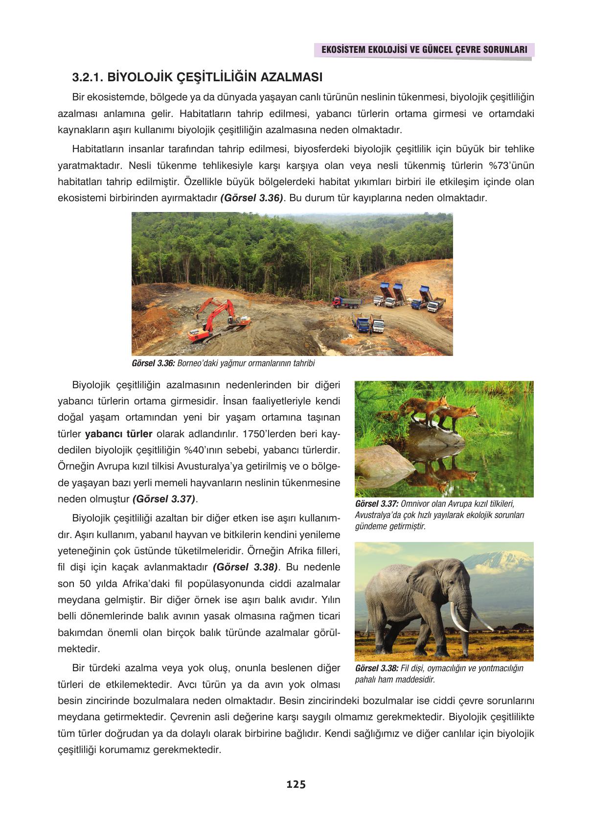 10. Sınıf Dörtel Yayınları Biyoloji Ders Kitabı Sayfa 125 Cevapları