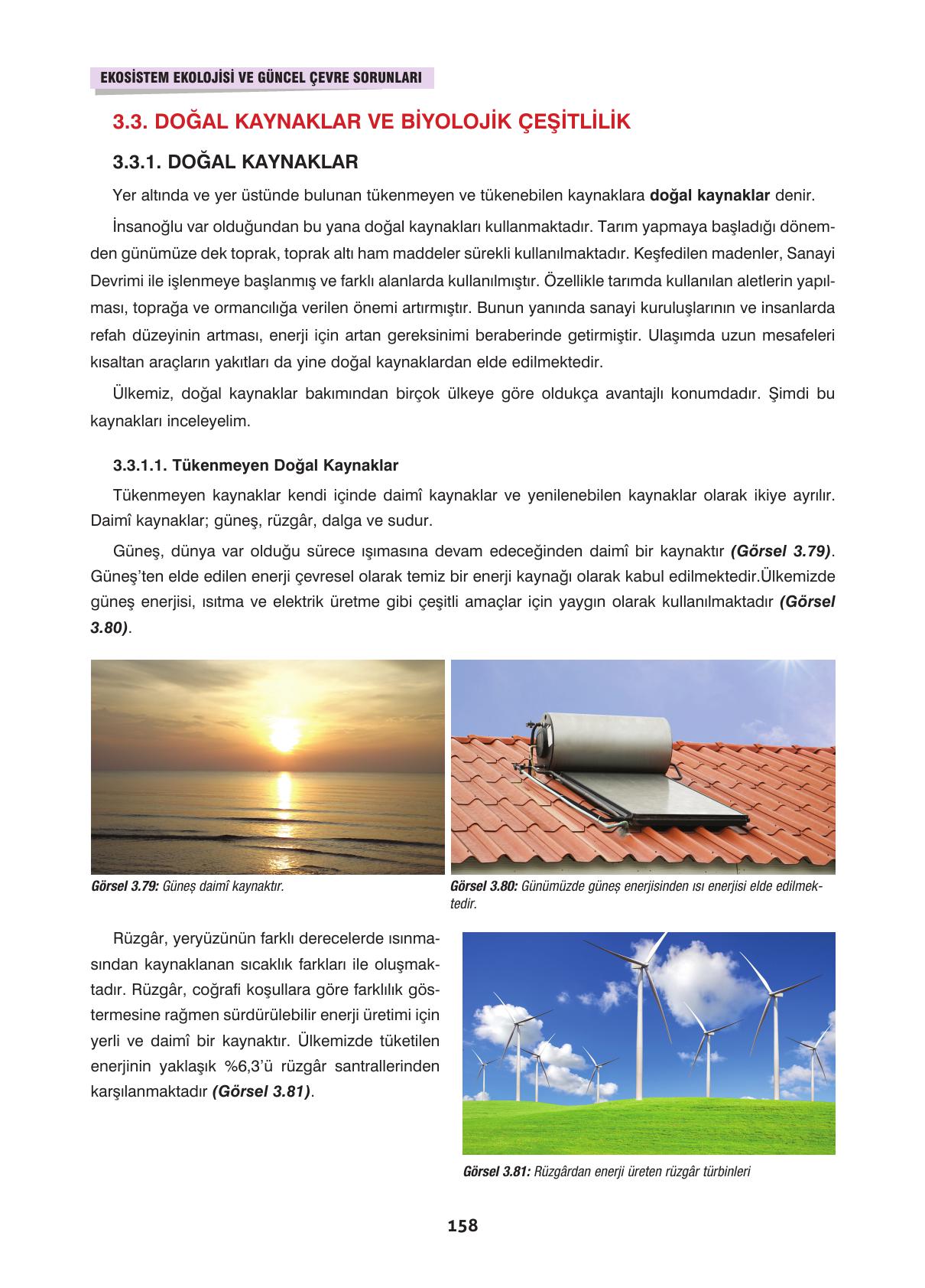 10. Sınıf Dörtel Yayınları Biyoloji Ders Kitabı Sayfa 158 Cevapları