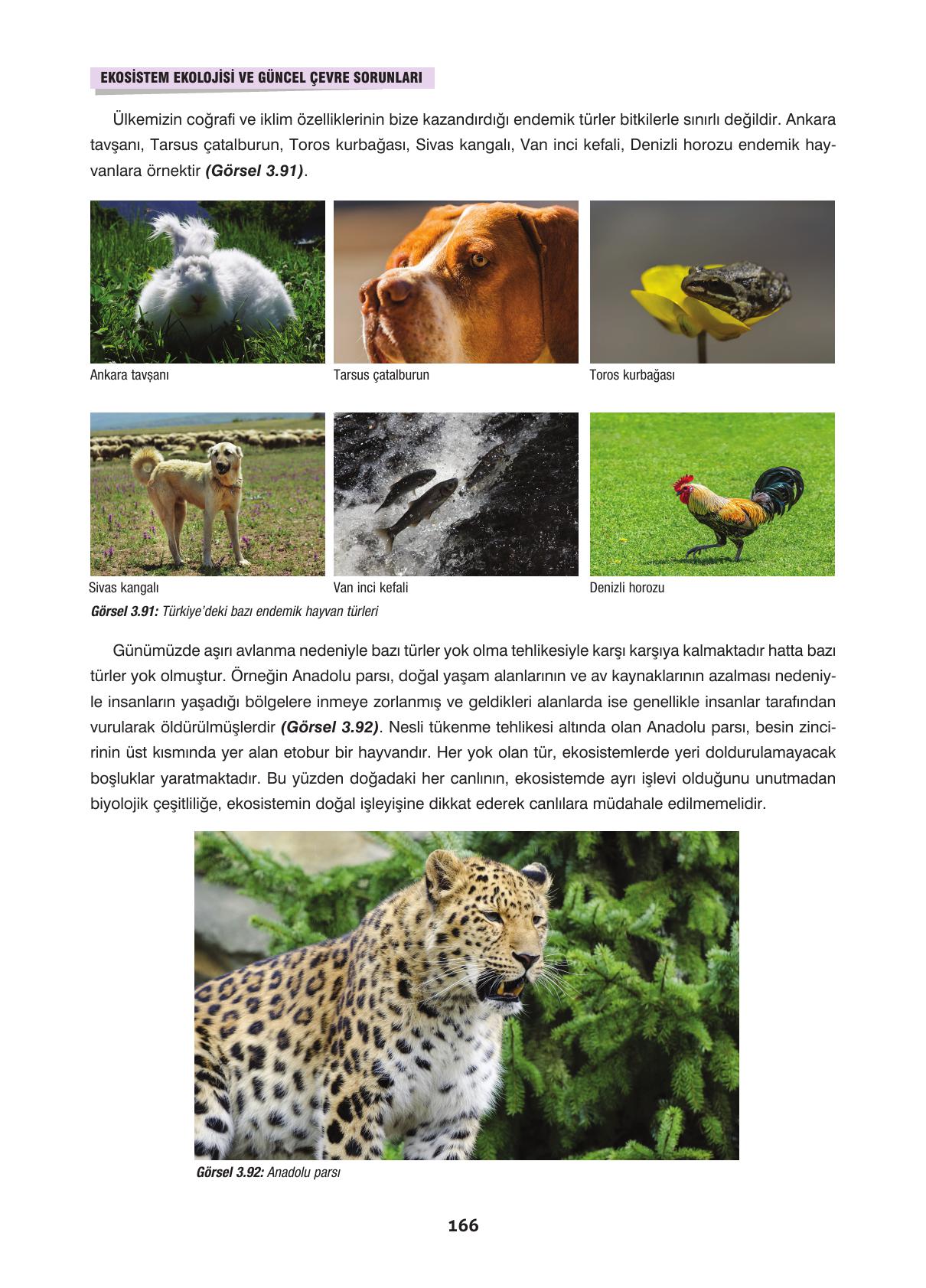 10. Sınıf Dörtel Yayınları Biyoloji Ders Kitabı Sayfa 166 Cevapları 10. Sınıf Dörtel Yayınları Biyoloji Ders Kitabı Sayfa 166 Cevapları