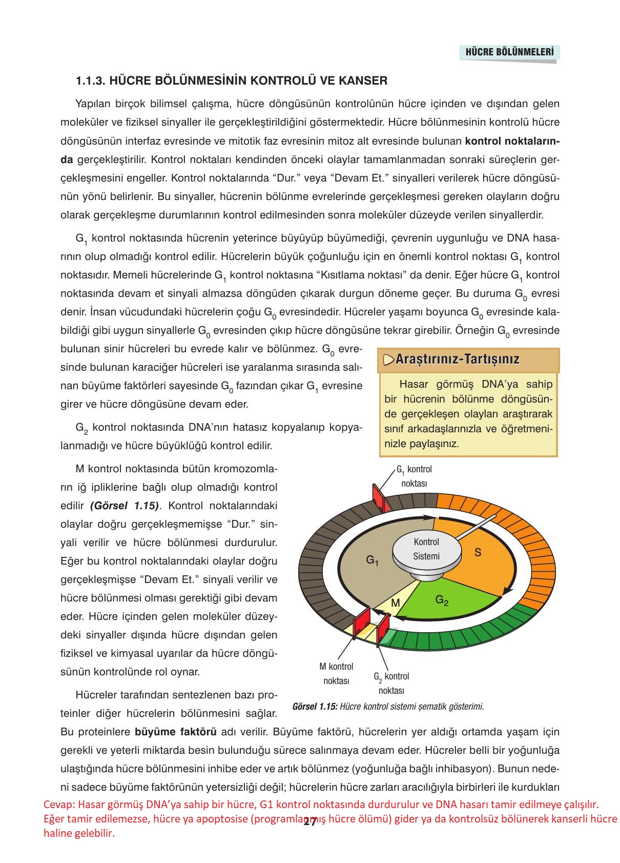 10. Sınıf Dörtel Yayınları Biyoloji Ders Kitabı Sayfa 27 Cevapları 10. Sınıf Dörtel Yayınları Biyoloji Ders Kitabı Sayfa 27 Cevapları
