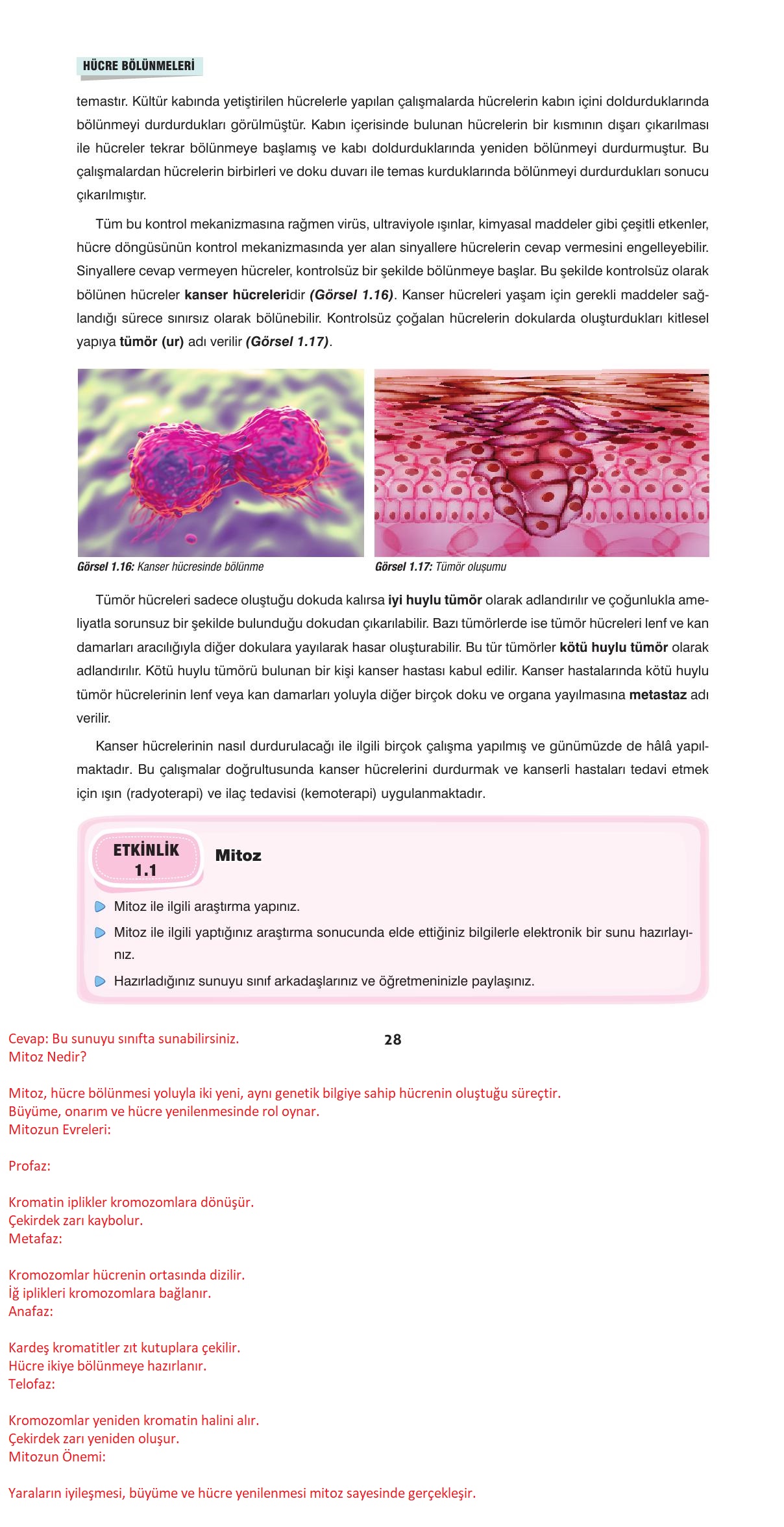 10. Sınıf Dörtel Yayınları Biyoloji Ders Kitabı Sayfa 28 Cevapları