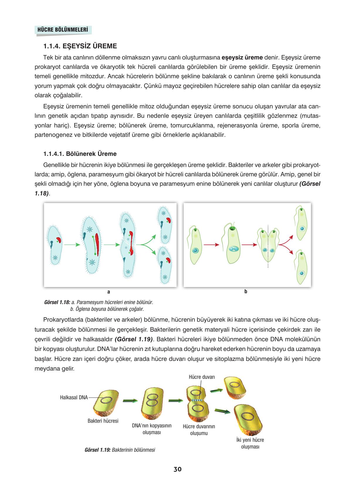 10. Sınıf Dörtel Yayınları Biyoloji Ders Kitabı Sayfa 30 Cevapları