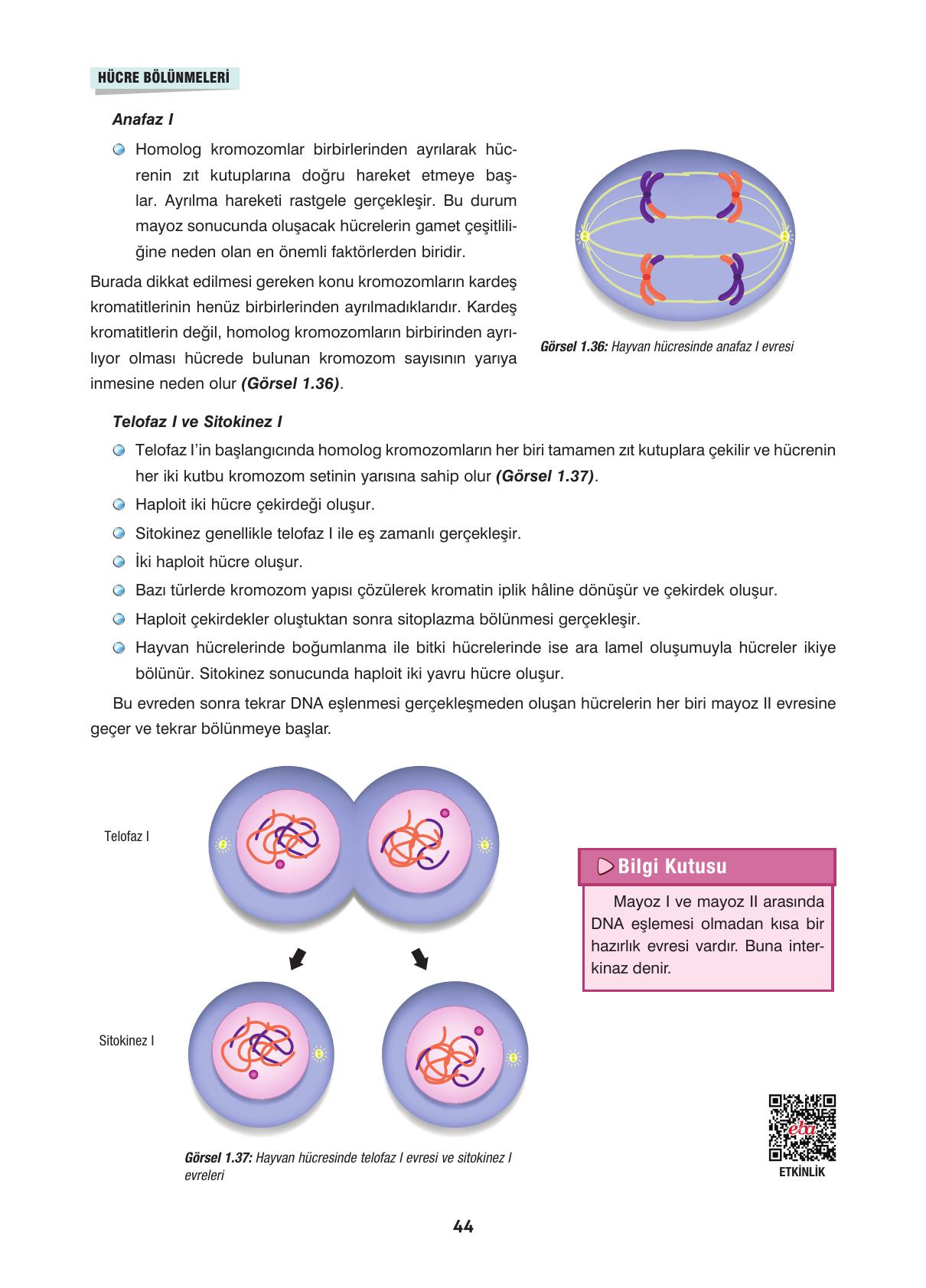 10. Sınıf Dörtel Yayınları Biyoloji Ders Kitabı Sayfa 44 Cevapları 10. Sınıf Dörtel Yayınları Biyoloji Ders Kitabı Sayfa 44 Cevapları