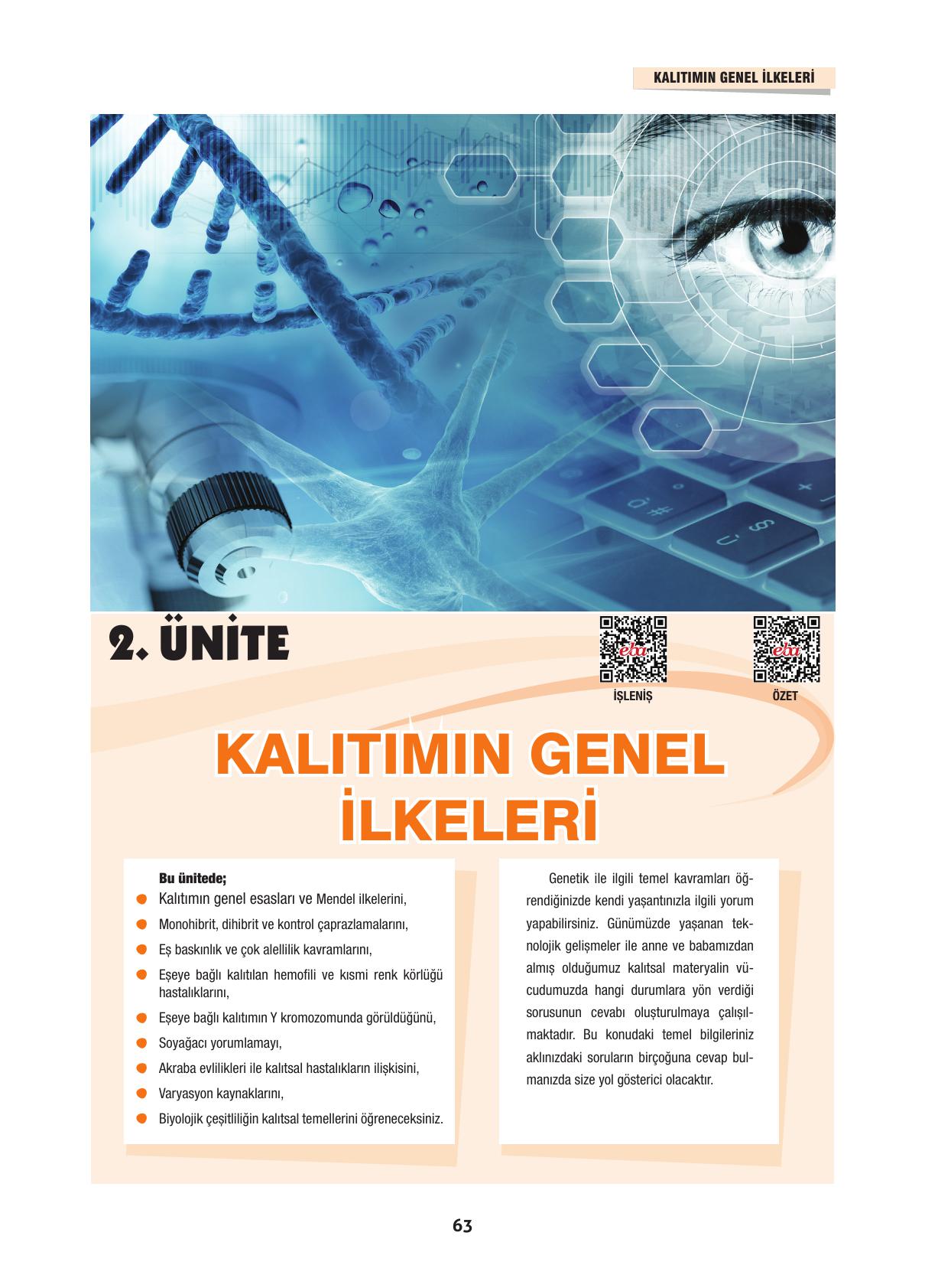 10. Sınıf Dörtel Yayınları Biyoloji Ders Kitabı Sayfa 63 Cevapları