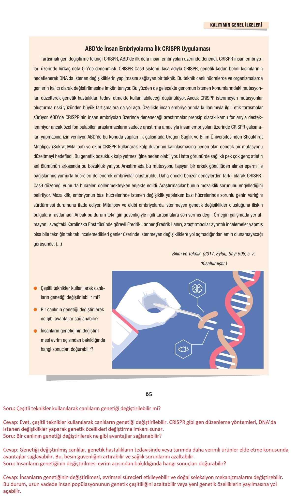 10. Sınıf Dörtel Yayınları Biyoloji Ders Kitabı Sayfa 65 Cevapları