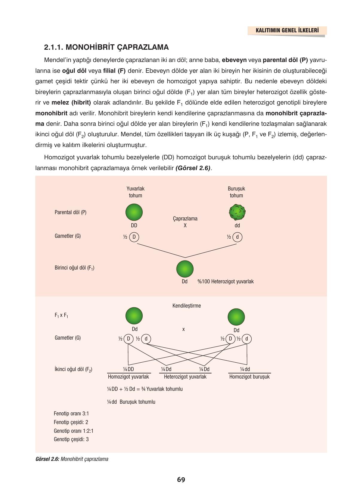 10. Sınıf Dörtel Yayınları Biyoloji Ders Kitabı Sayfa 69 Cevapları 10. Sınıf Dörtel Yayınları Biyoloji Ders Kitabı Sayfa 69 Cevapları