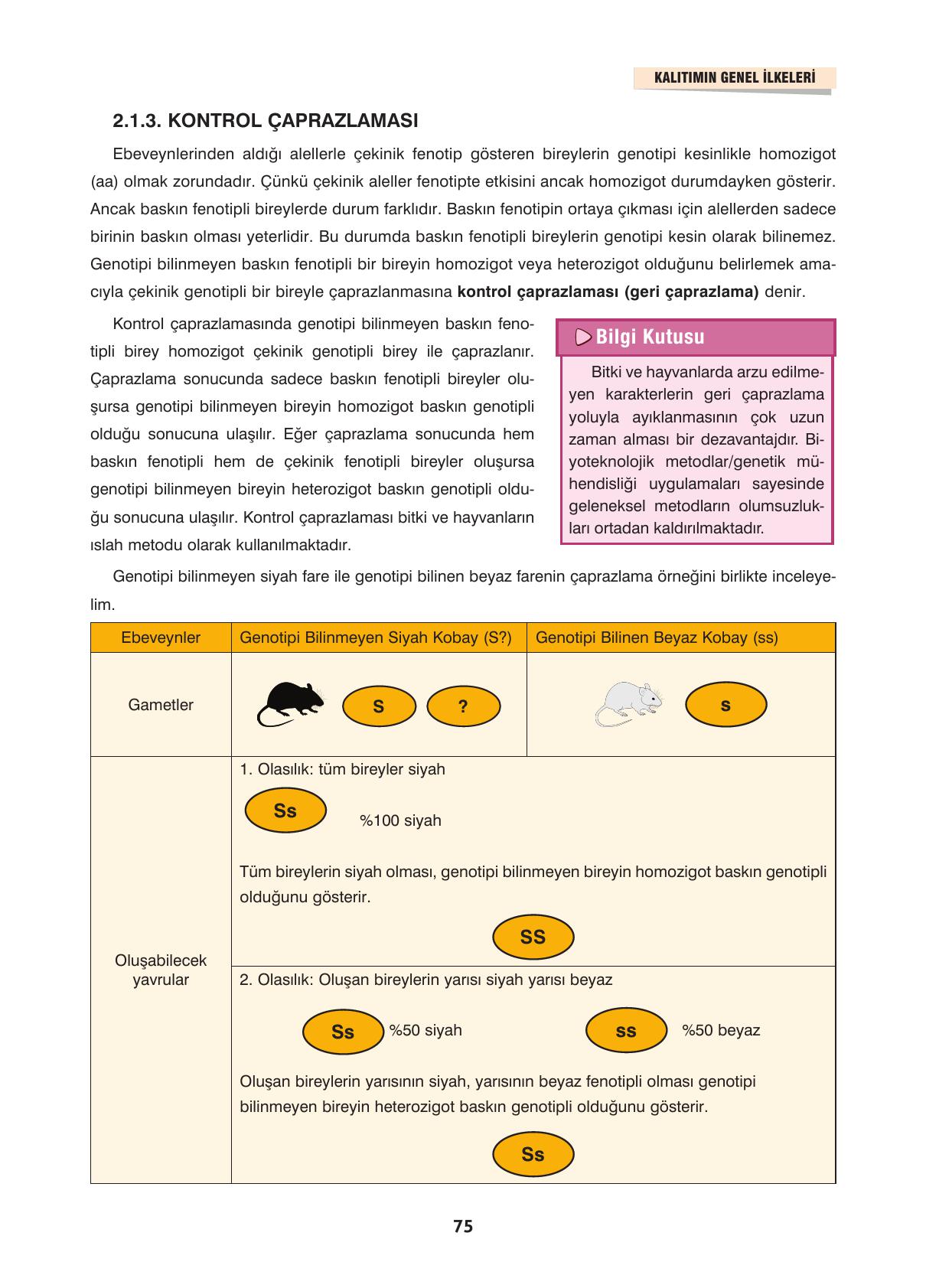 10. Sınıf Dörtel Yayınları Biyoloji Ders Kitabı Sayfa 75 Cevapları 10. Sınıf Dörtel Yayınları Biyoloji Ders Kitabı Sayfa 75 Cevapları