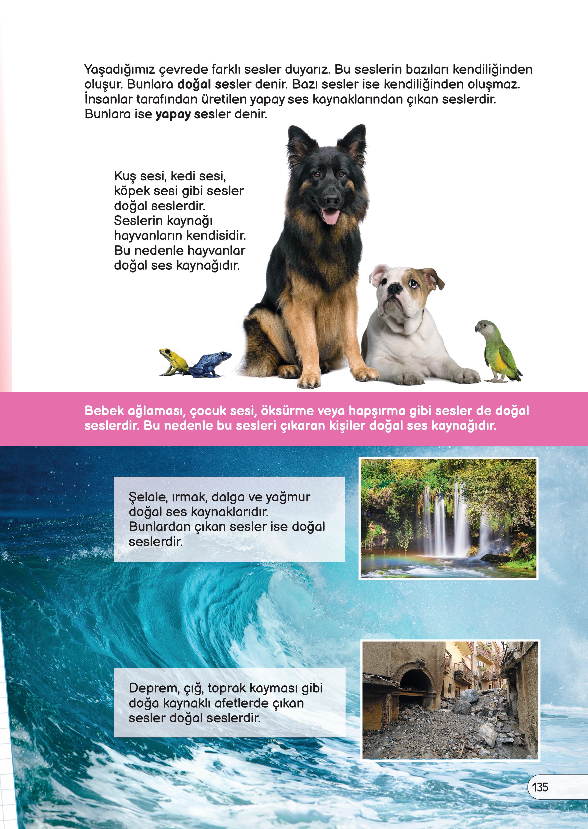 3. Sınıf Meb Yayınları Fen Bilimleri Ders Kitabı Sayfa 135 Cevapları 3. Sınıf Meb Yayınları Fen Bilimleri Ders Kitabı Sayfa 135 Cevapları