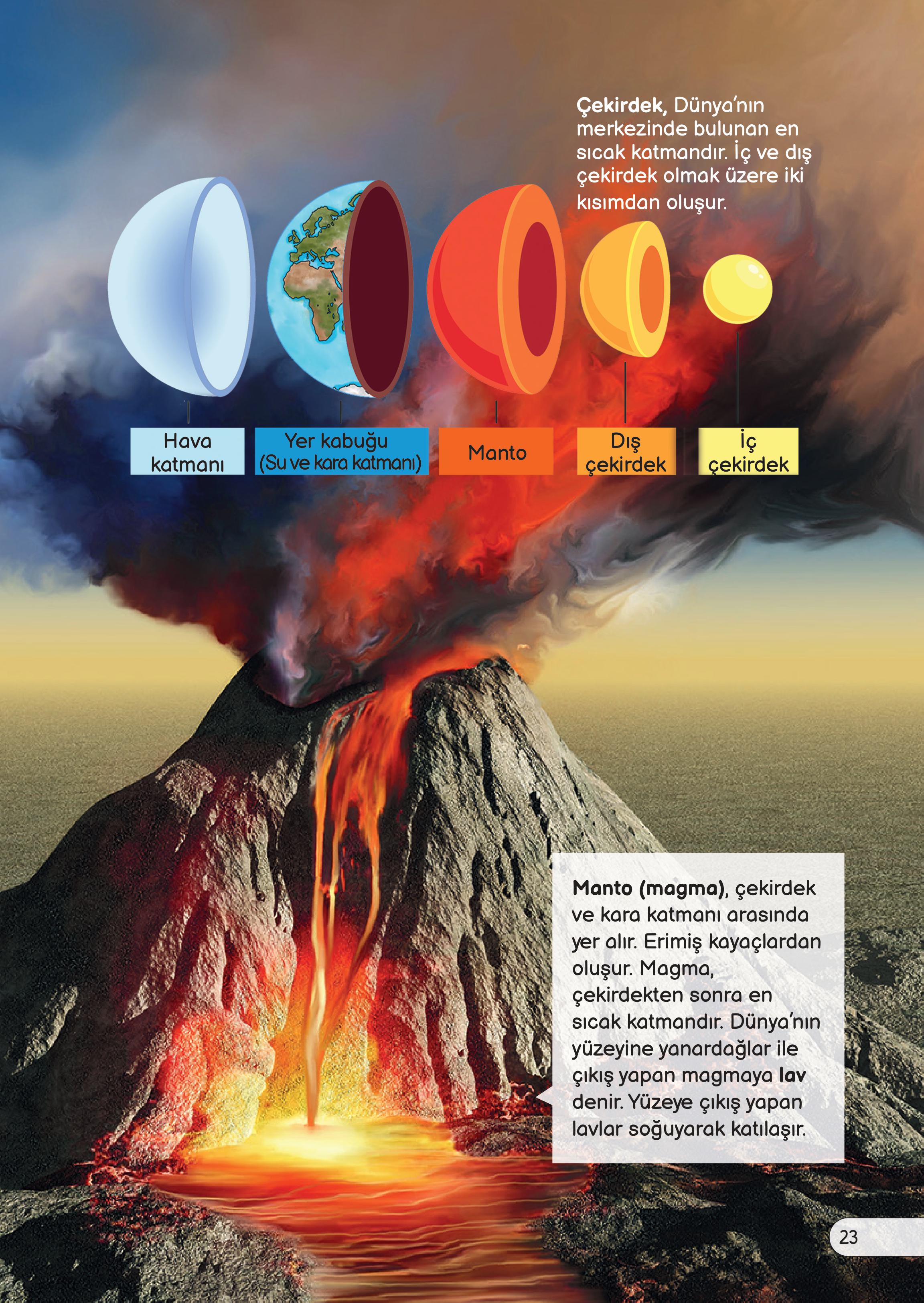 3. Sınıf Meb Yayınları Fen Bilimleri Ders Kitabı Sayfa 23 Cevapları 3. Sınıf Meb Yayınları Fen Bilimleri Ders Kitabı Sayfa 23 Cevapları