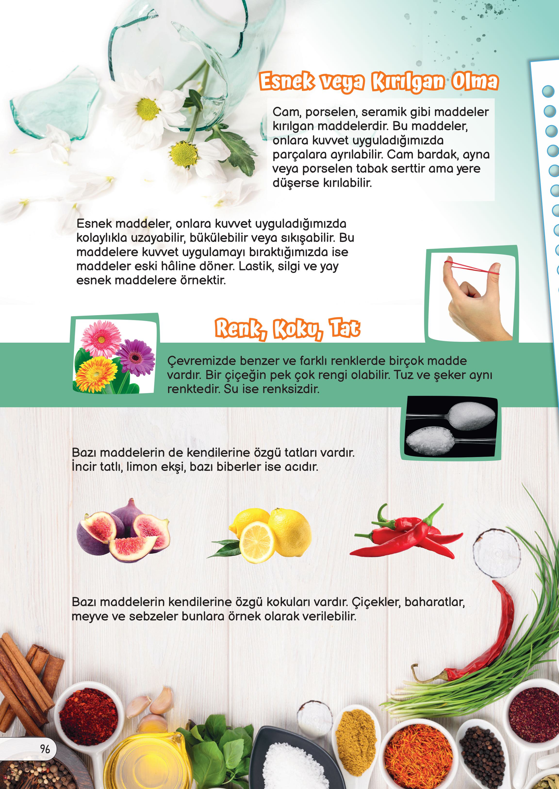 3. Sınıf Meb Yayınları Fen Bilimleri Ders Kitabı Sayfa 96 Cevapları 3. Sınıf Meb Yayınları Fen Bilimleri Ders Kitabı Sayfa 96 Cevapları