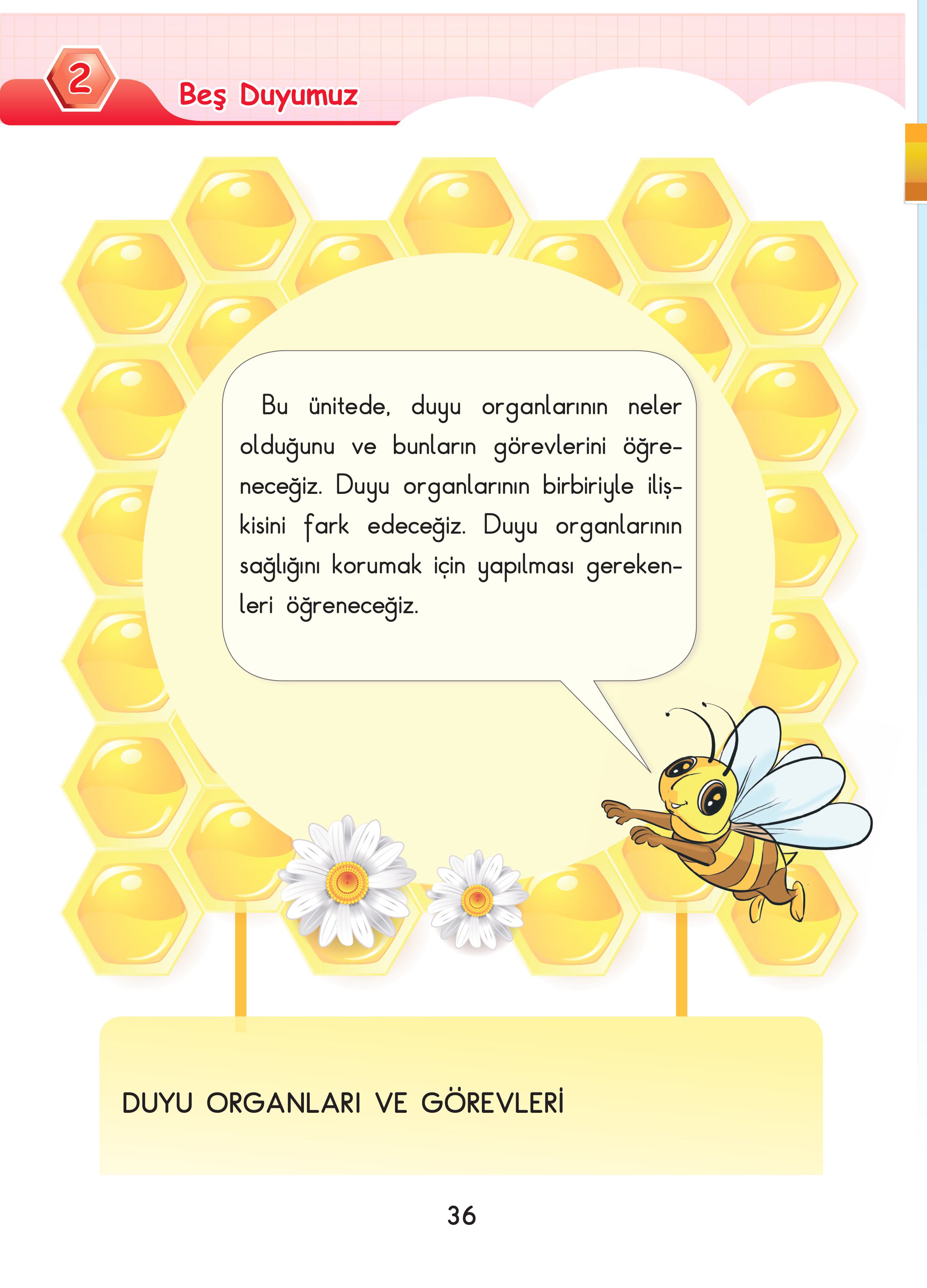 3. Sınıf Sdr Dikey Yayıncılık Fen Bilimleri Ders Kitabı Sayfa 36 Cevapları 3. Sınıf Sdr Dikey Yayıncılık Fen Bilimleri Ders Kitabı Sayfa 36 Cevapları