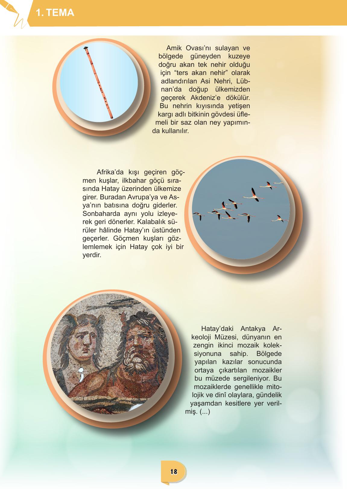 6. Sınıf Meb Yayınları Türkçe Ders Kitabı Sayfa 18 Cevapları