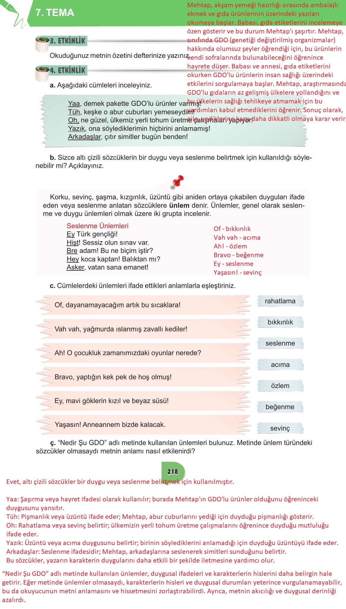 6. Sınıf Meb Yayınları Türkçe Ders Kitabı Sayfa 218 Cevapları