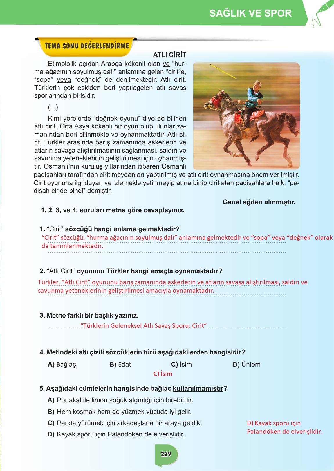 6. Sınıf Meb Yayınları Türkçe Ders Kitabı Sayfa 229 Cevapları