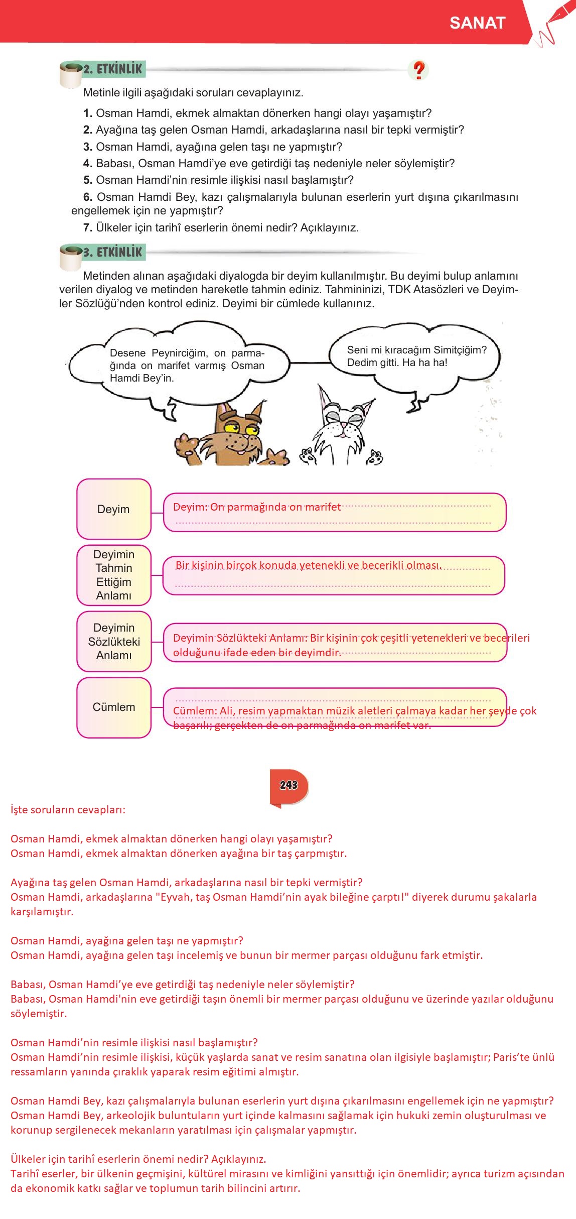 6. Sınıf Meb Yayınları Türkçe Ders Kitabı Sayfa 243 Cevapları