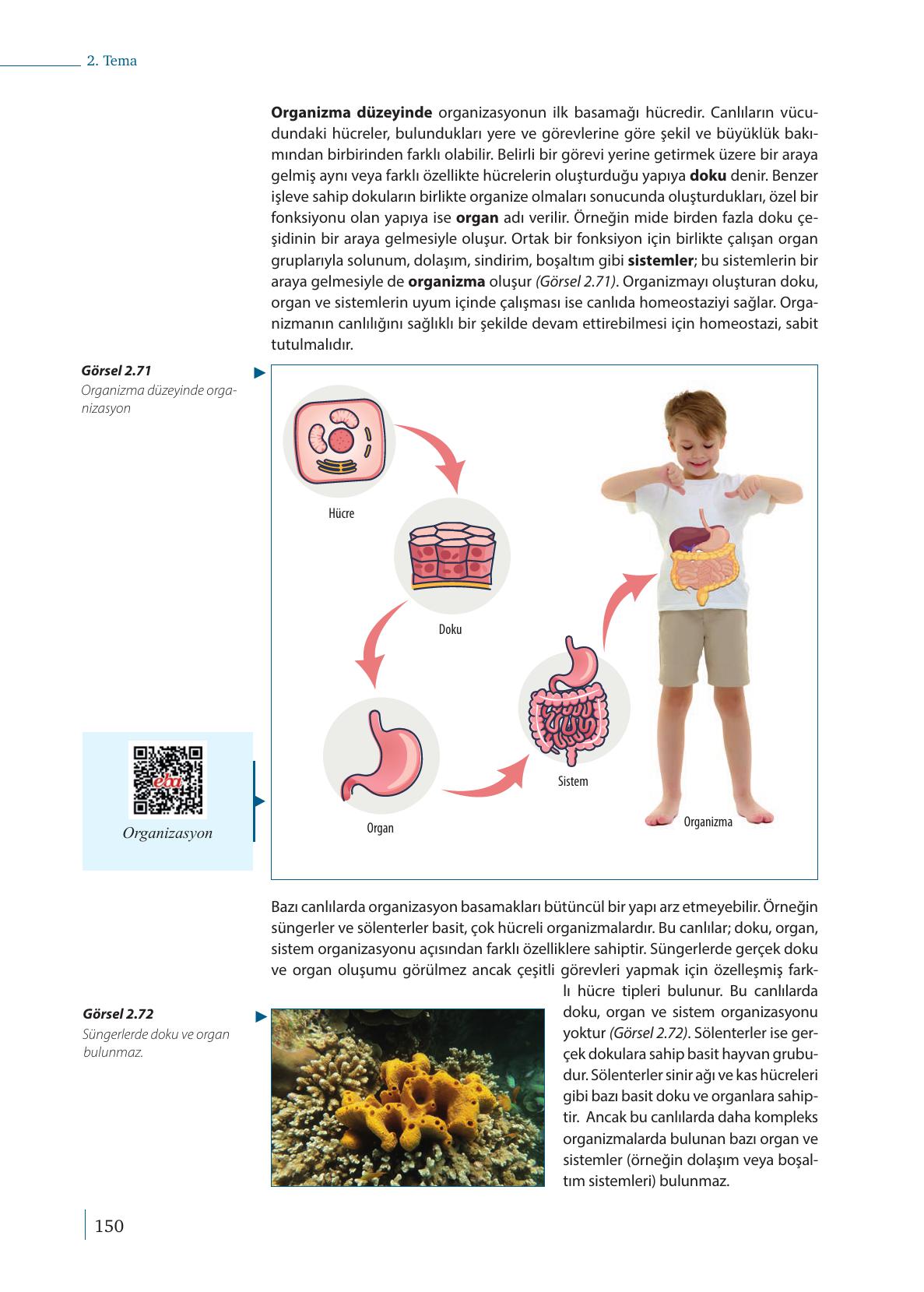 9. Sınıf Meb Yayınları Biyoloji Ders Kitabı Sayfa 150 Cevapları 9. Sınıf Meb Yayınları Biyoloji Ders Kitabı Sayfa 150 Cevapları