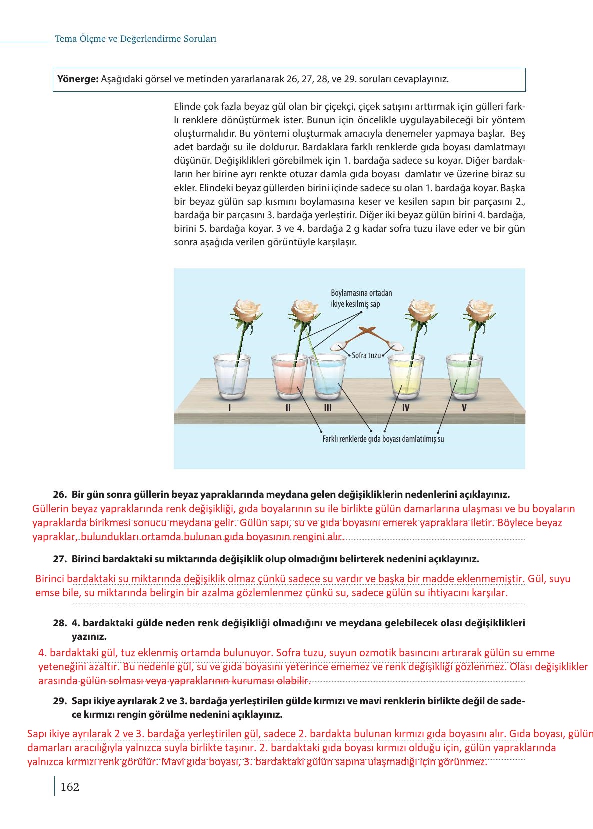 9. Sınıf Meb Yayınları Biyoloji Ders Kitabı Sayfa 162 Cevapları