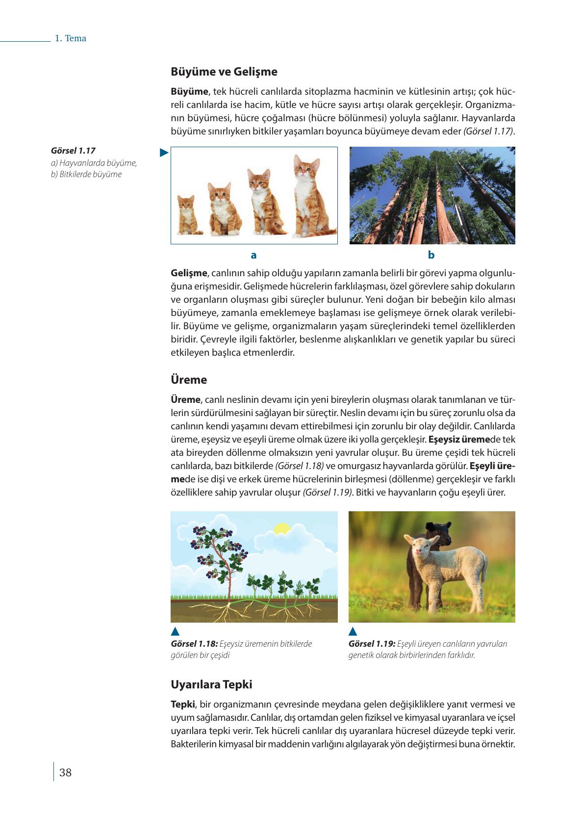 9. Sınıf Meb Yayınları Biyoloji Ders Kitabı Sayfa 38 Cevapları 9. Sınıf Meb Yayınları Biyoloji Ders Kitabı Sayfa 38 Cevapları
