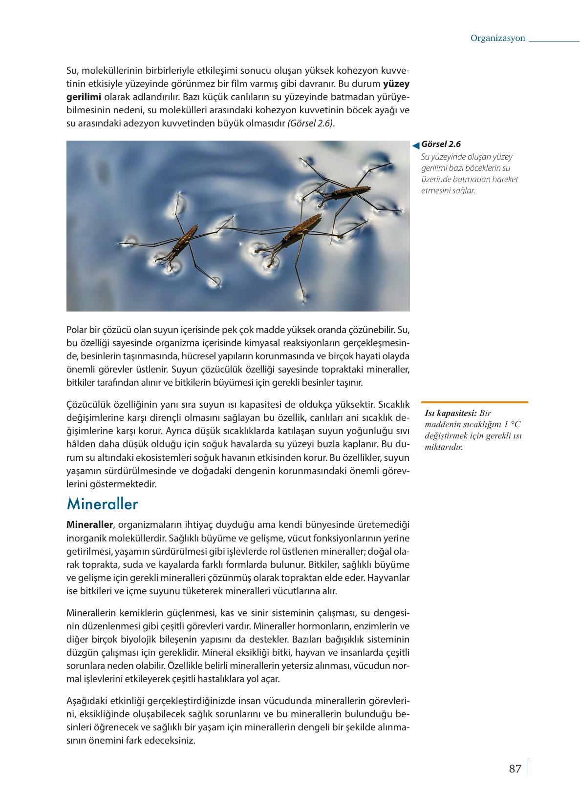 9. Sınıf Meb Yayınları Biyoloji Ders Kitabı Sayfa 87 Cevapları