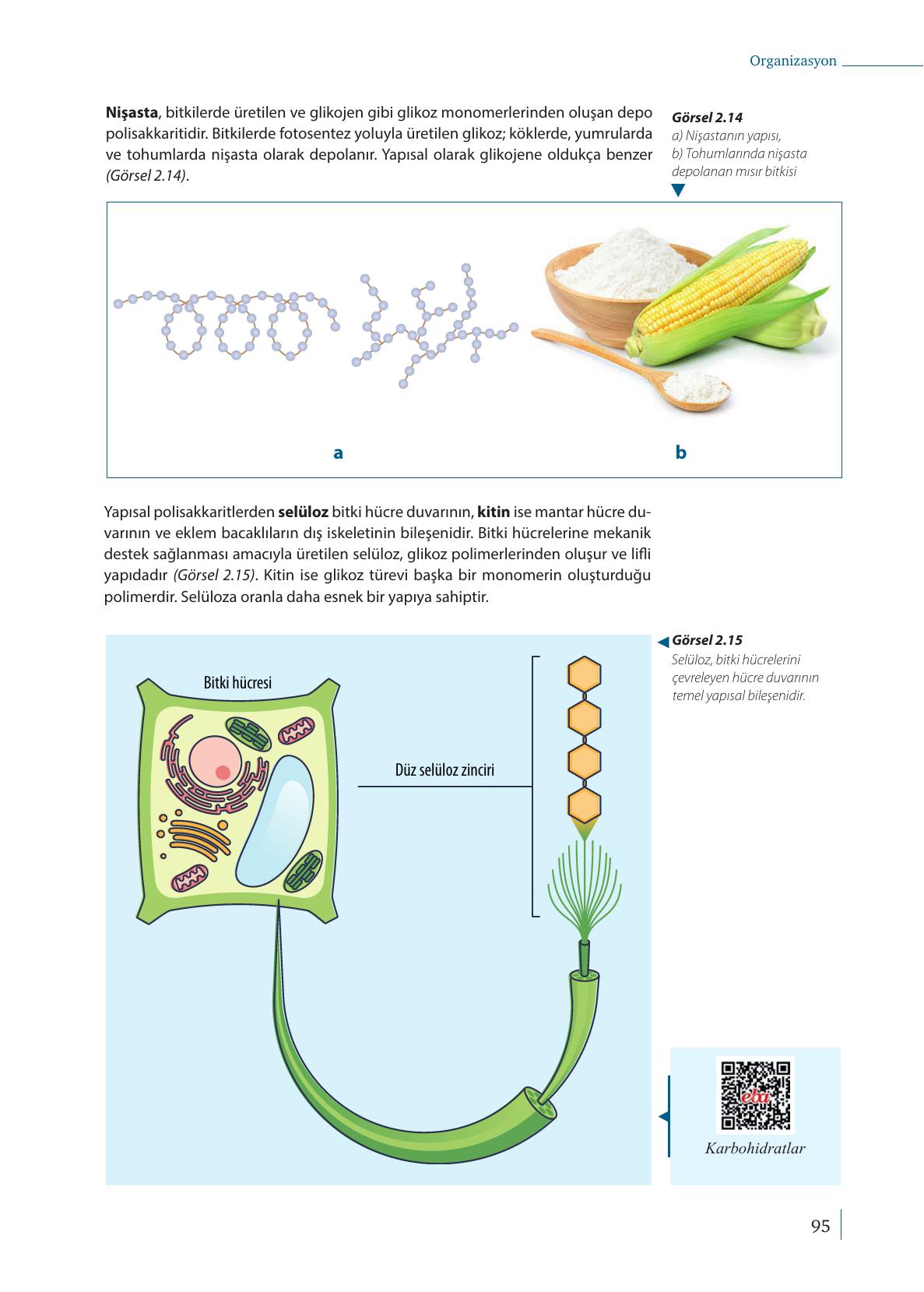 9. Sınıf Meb Yayınları Biyoloji Ders Kitabı Sayfa 95 Cevapları 9. Sınıf Meb Yayınları Biyoloji Ders Kitabı Sayfa 95 Cevapları