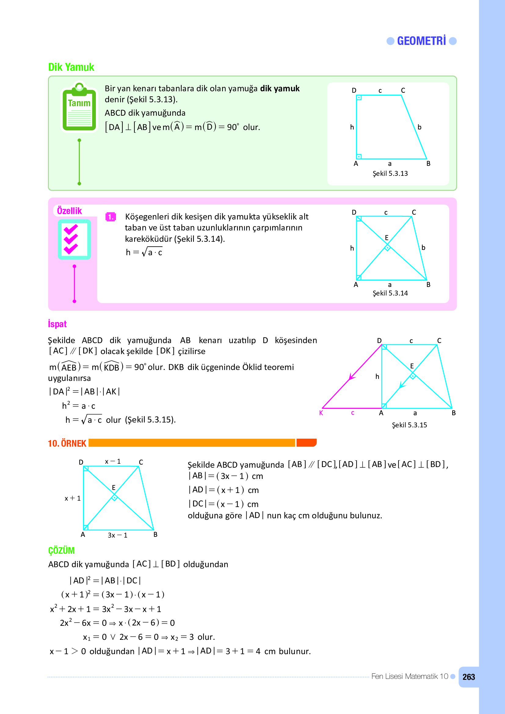 10. Sınıf Meb Yayınları Fen Lisesi Matematik Ders Kitabı Sayfa 263 Cevapları