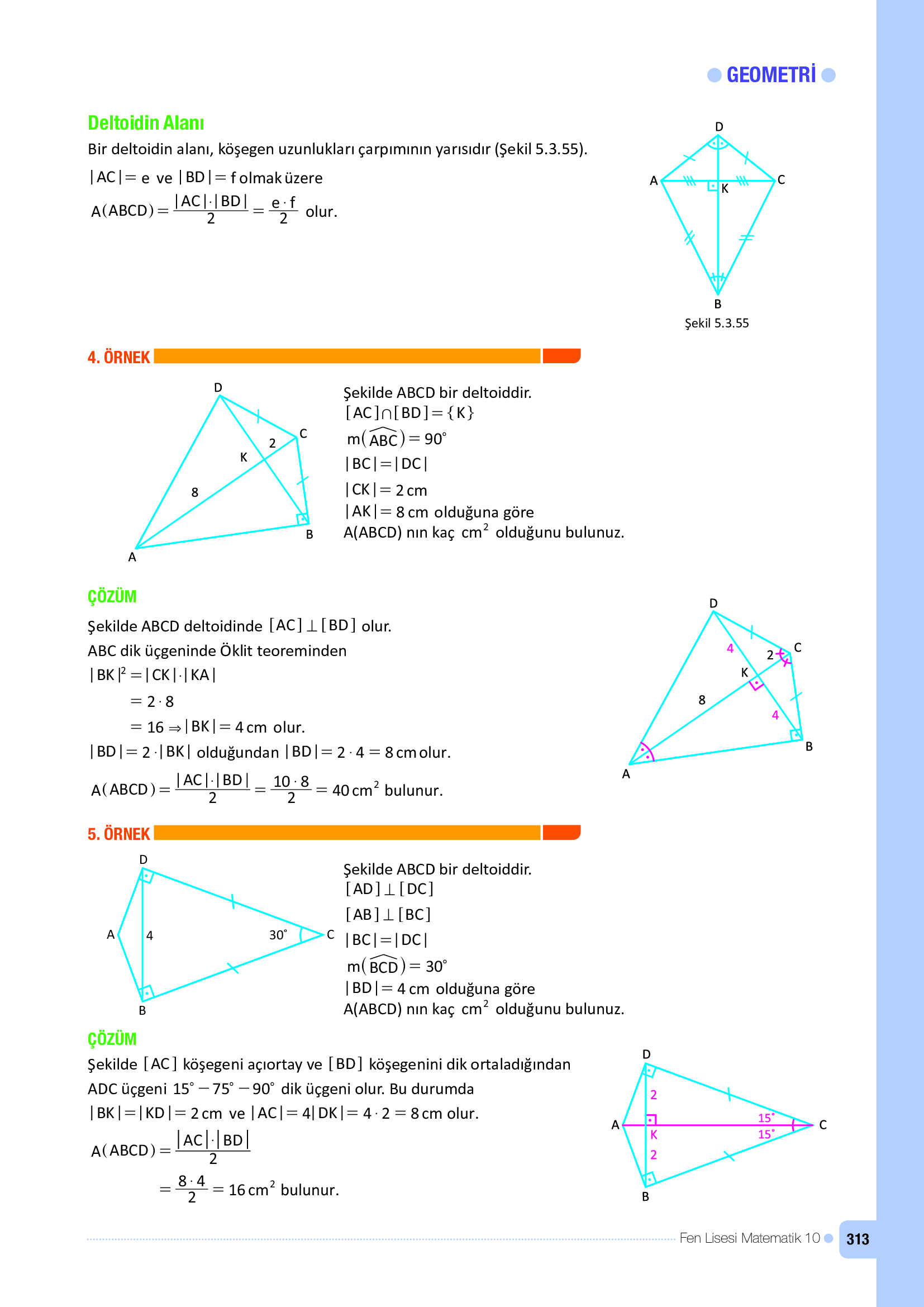 10. Sınıf Meb Yayınları Fen Lisesi Matematik Ders Kitabı Sayfa 313 Cevapları