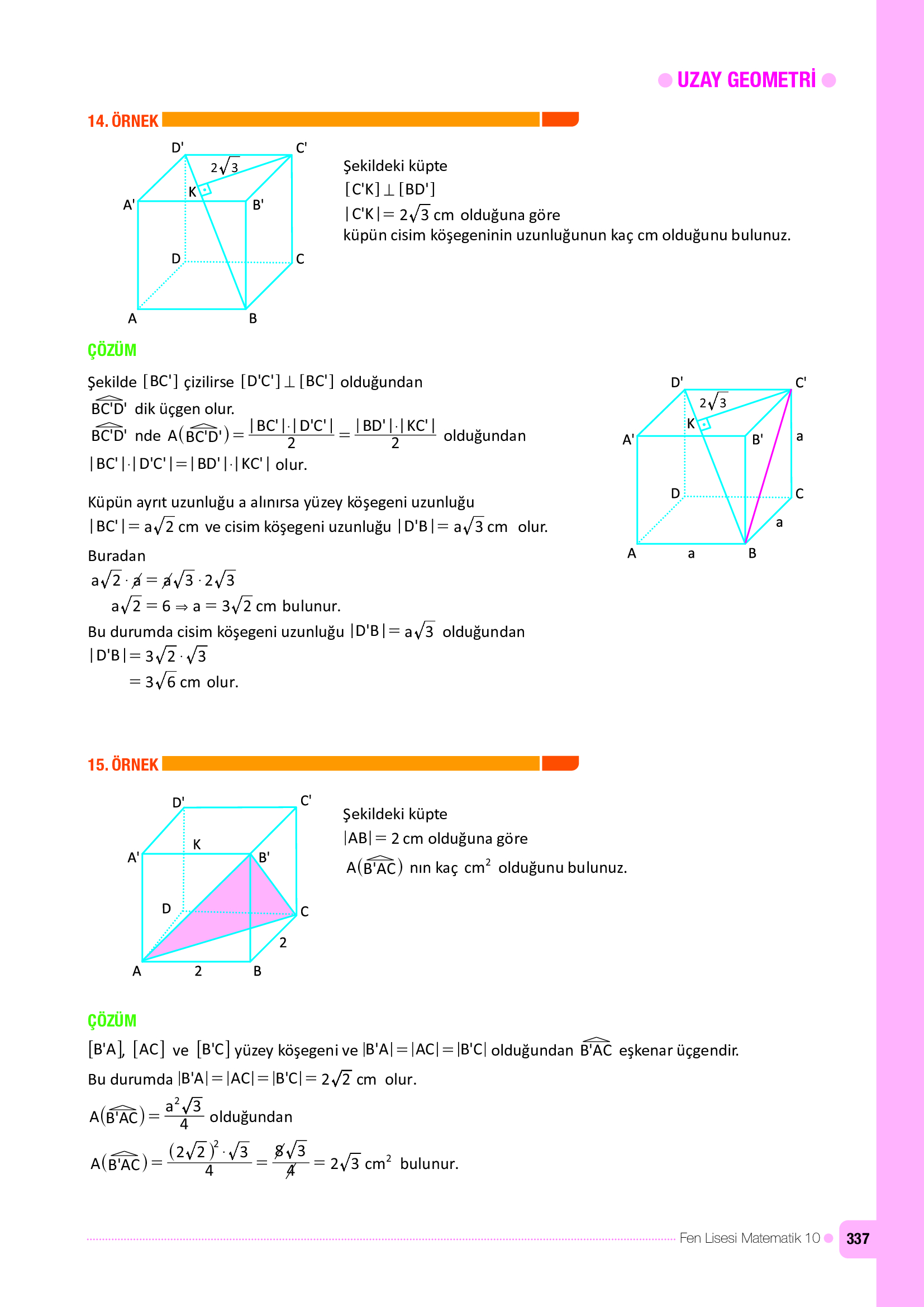 10. Sınıf Meb Yayınları Fen Lisesi Matematik Ders Kitabı Sayfa 337 Cevapları