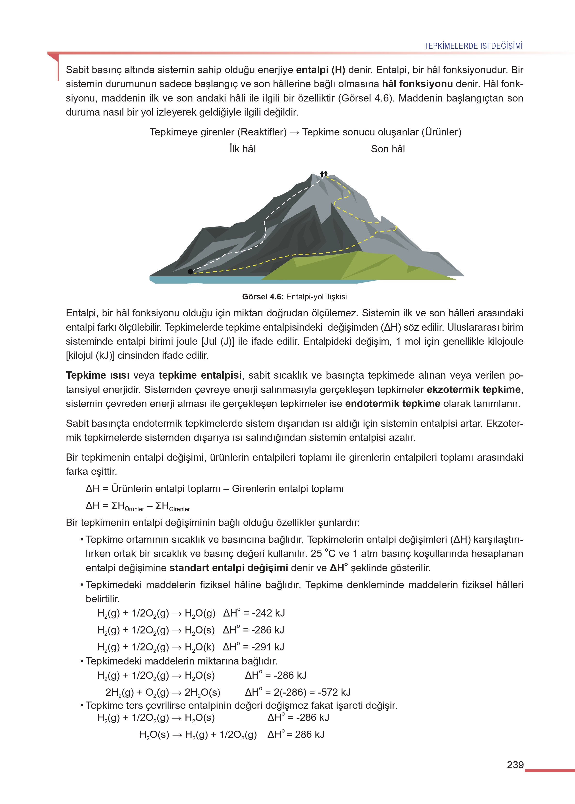 11. Sınıf Meb Yayınları Fen Lisesi Kimya Ders Kitabı Sayfa 239 Cevapları