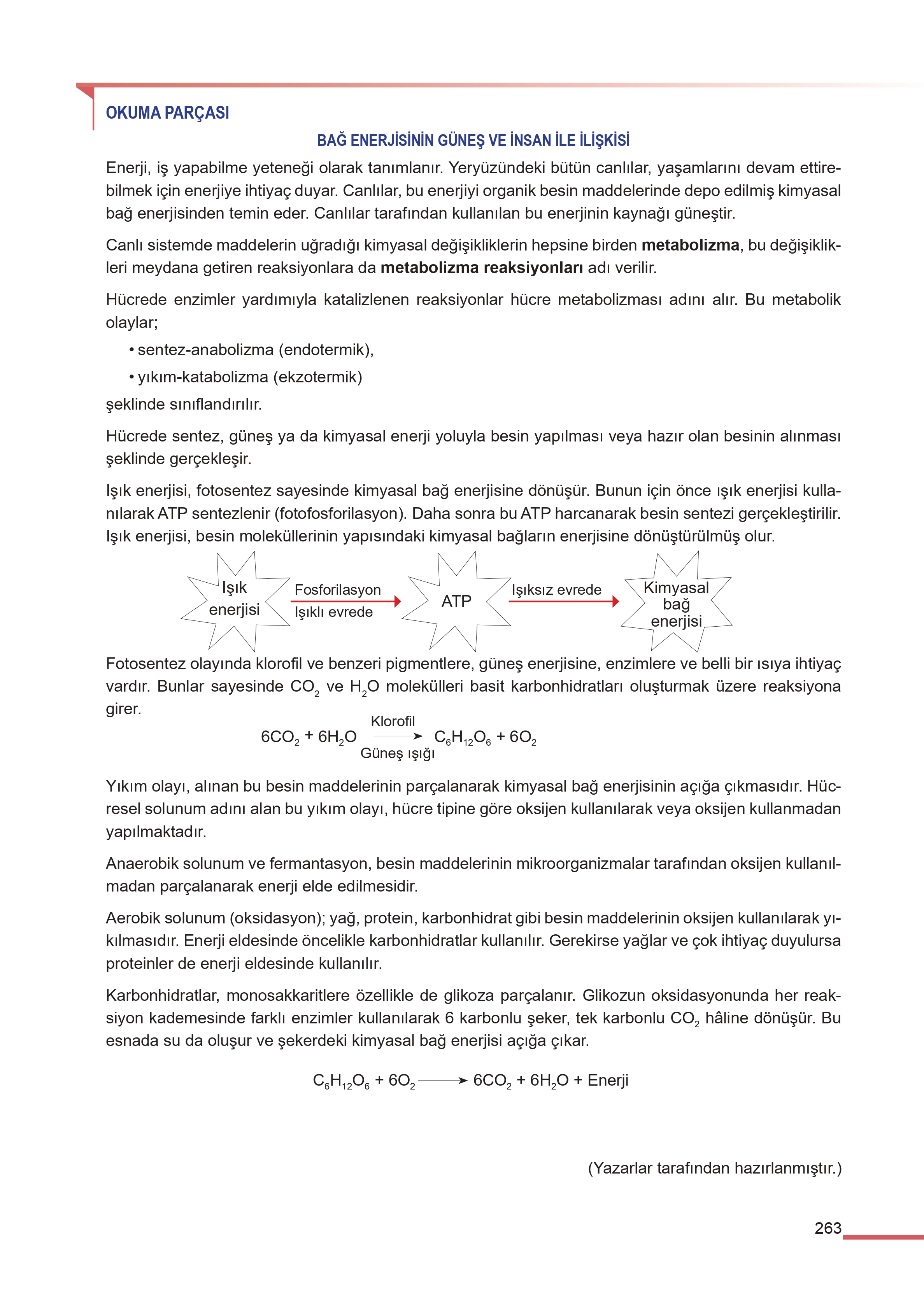 11. Sınıf Meb Yayınları Fen Lisesi Kimya Ders Kitabı Sayfa 263 Cevapları 11. Sınıf Meb Yayınları Fen Lisesi Kimya Ders Kitabı Sayfa 263 Cevapları
