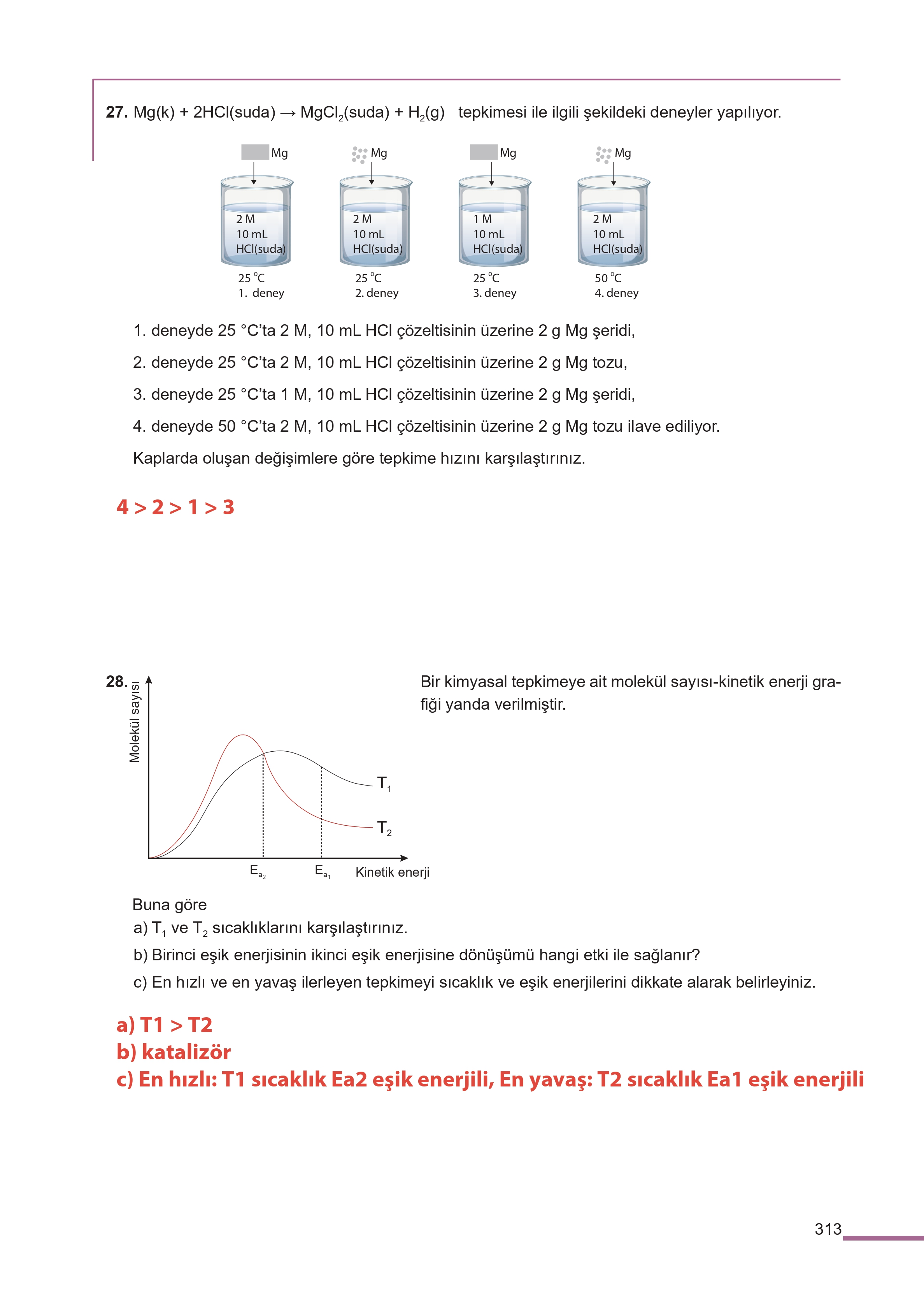 11. Sınıf Meb Yayınları Fen Lisesi Kimya Ders Kitabı Sayfa 313 Cevapları 11. Sınıf Meb Yayınları Fen Lisesi Kimya Ders Kitabı Sayfa 313 Cevapları
