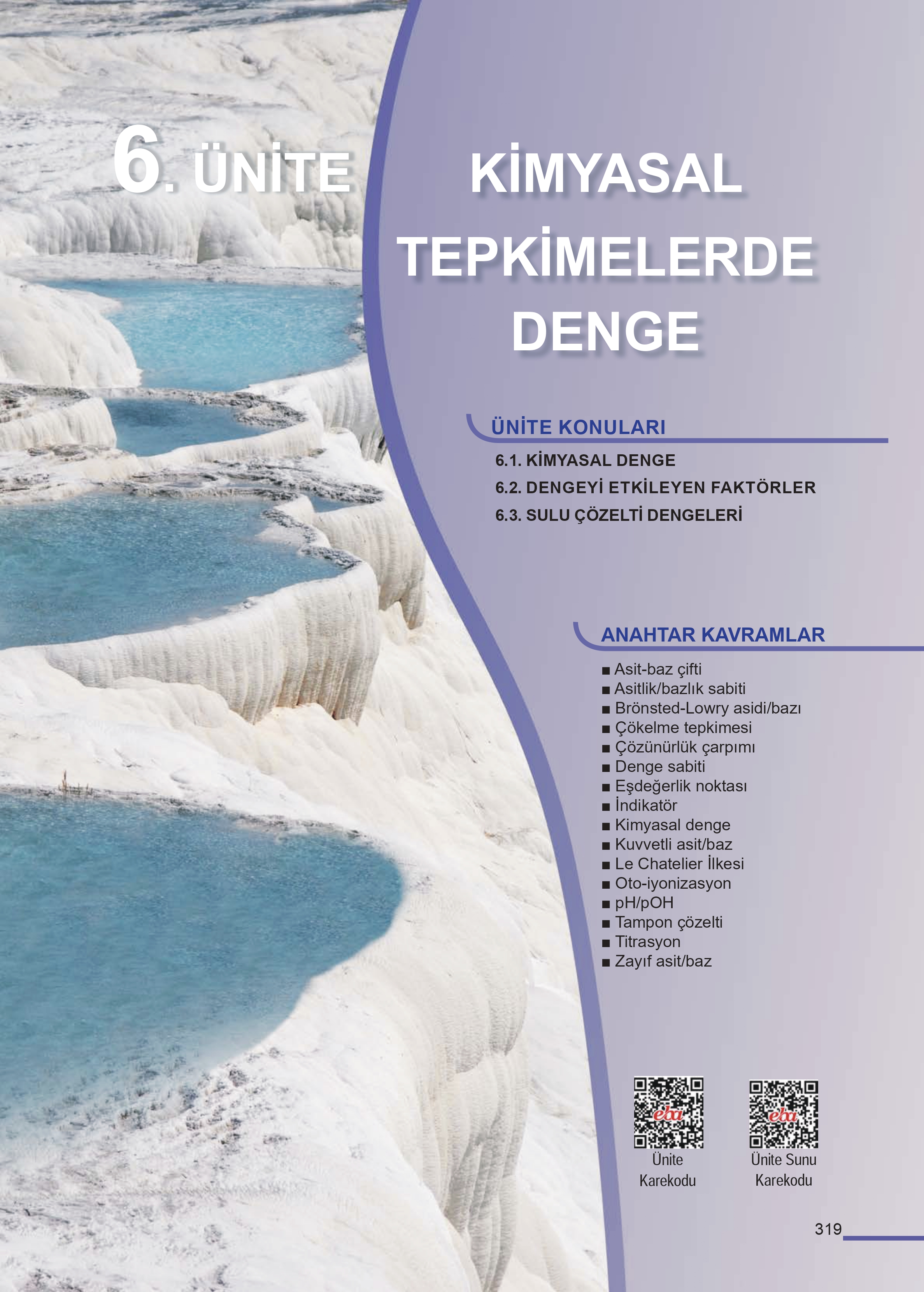 11. Sınıf Meb Yayınları Fen Lisesi Kimya Ders Kitabı Sayfa 319 Cevapları