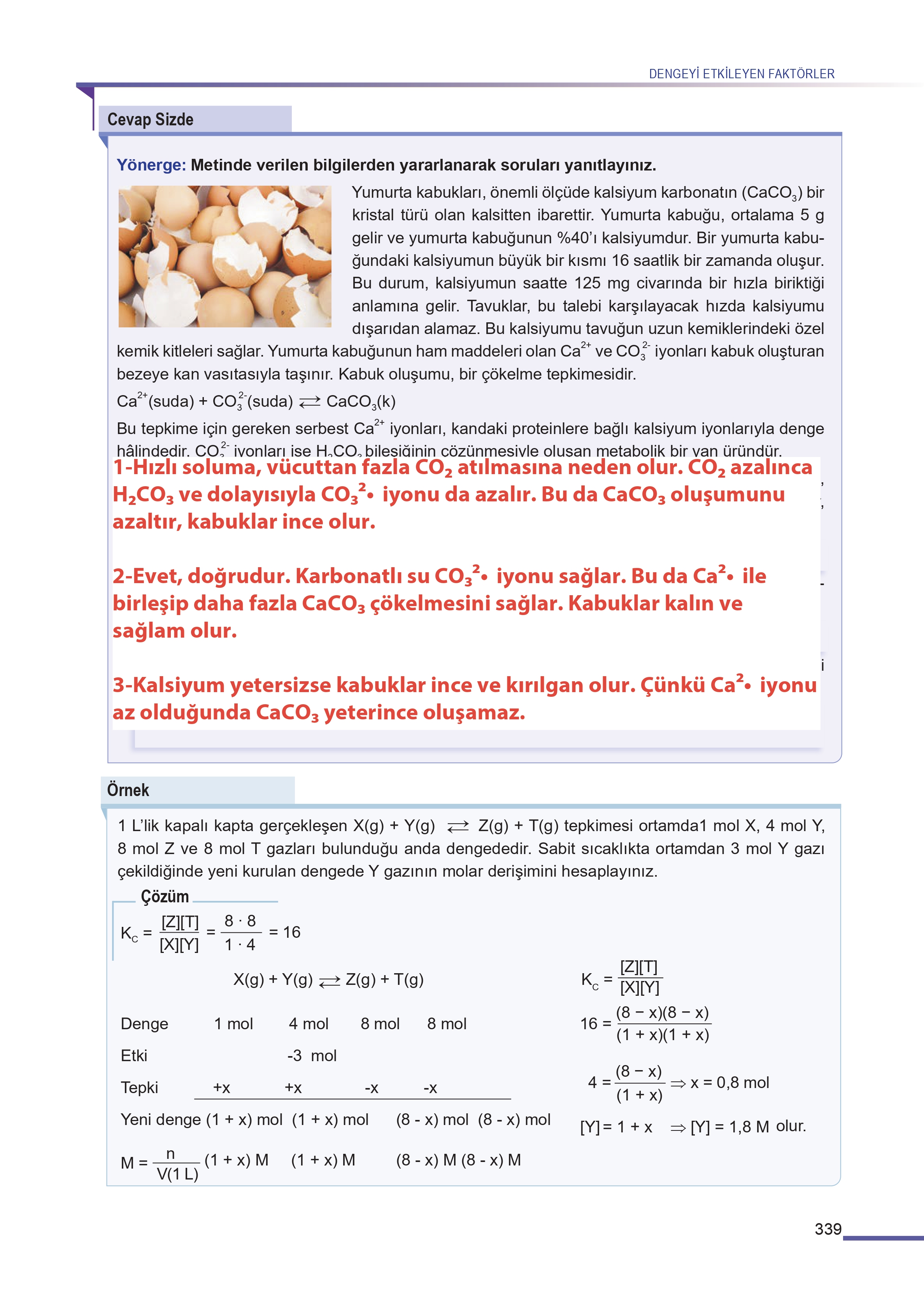 11. Sınıf Meb Yayınları Fen Lisesi Kimya Ders Kitabı Sayfa 339 Cevapları