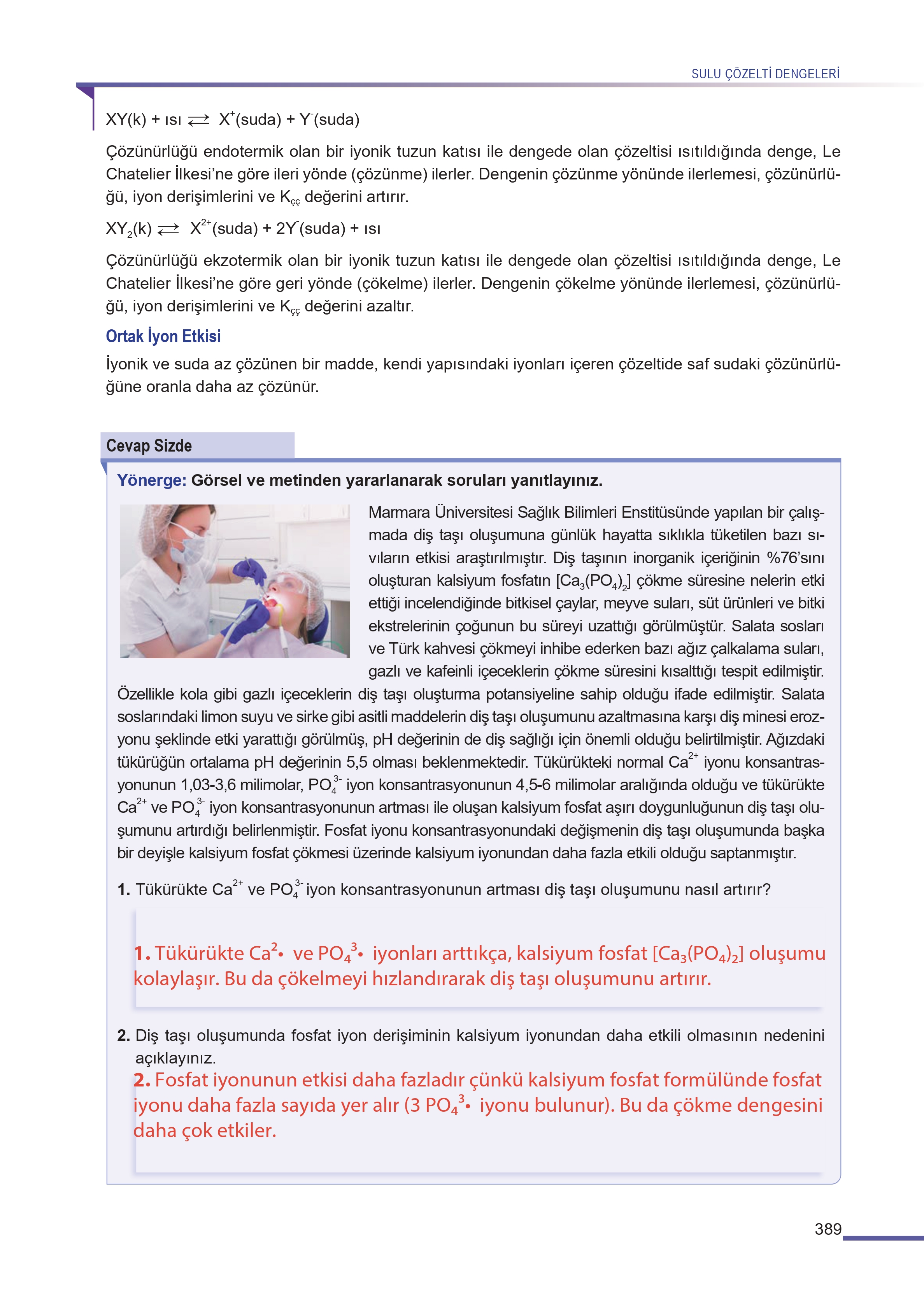 11. Sınıf Meb Yayınları Fen Lisesi Kimya Ders Kitabı Sayfa 389 Cevapları 11. Sınıf Meb Yayınları Fen Lisesi Kimya Ders Kitabı Sayfa 389 Cevapları