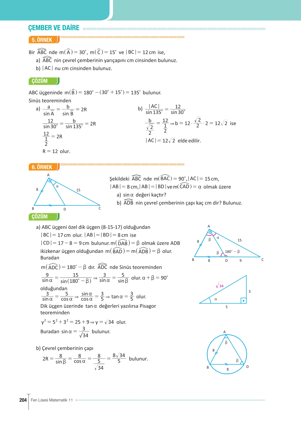 11. Sınıf Meb Yayınları Fen Lisesi Matematik Ders Kitabı Sayfa 204 Cevapları