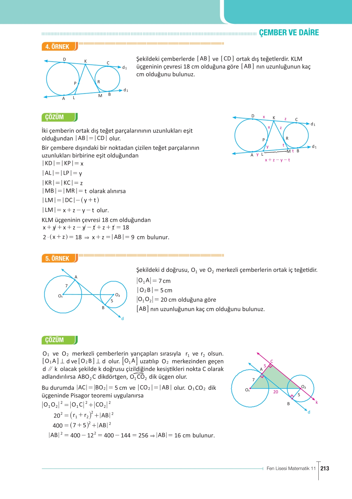 11. Sınıf Meb Yayınları Fen Lisesi Matematik Ders Kitabı Sayfa 213 Cevapları