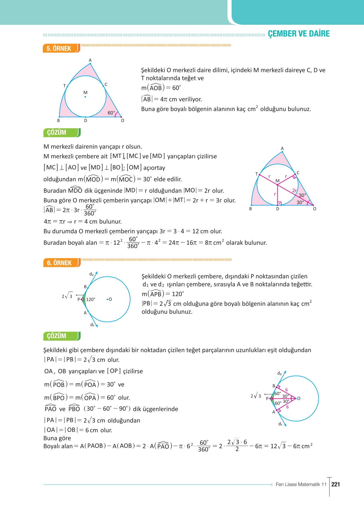 11. Sınıf Meb Yayınları Fen Lisesi Matematik Ders Kitabı Sayfa 221 Cevapları