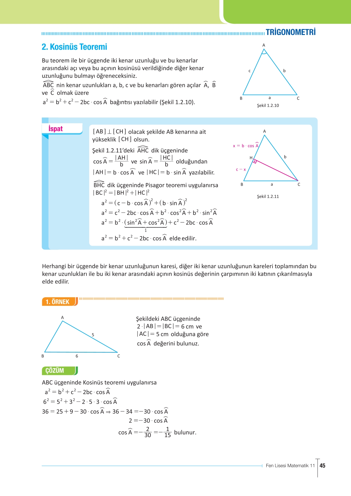 11. Sınıf Meb Yayınları Fen Lisesi Matematik Ders Kitabı Sayfa 45 Cevapları