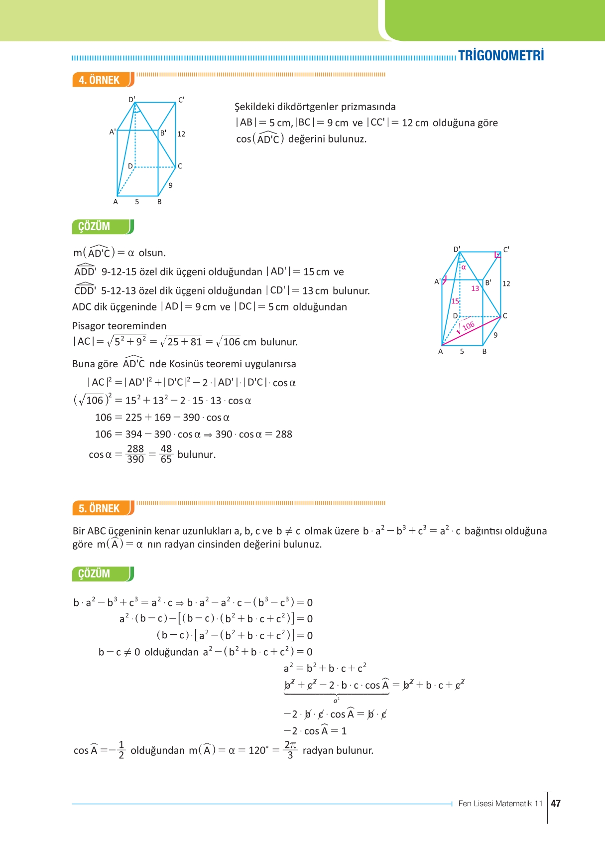 11. Sınıf Meb Yayınları Fen Lisesi Matematik Ders Kitabı Sayfa 47 Cevapları
