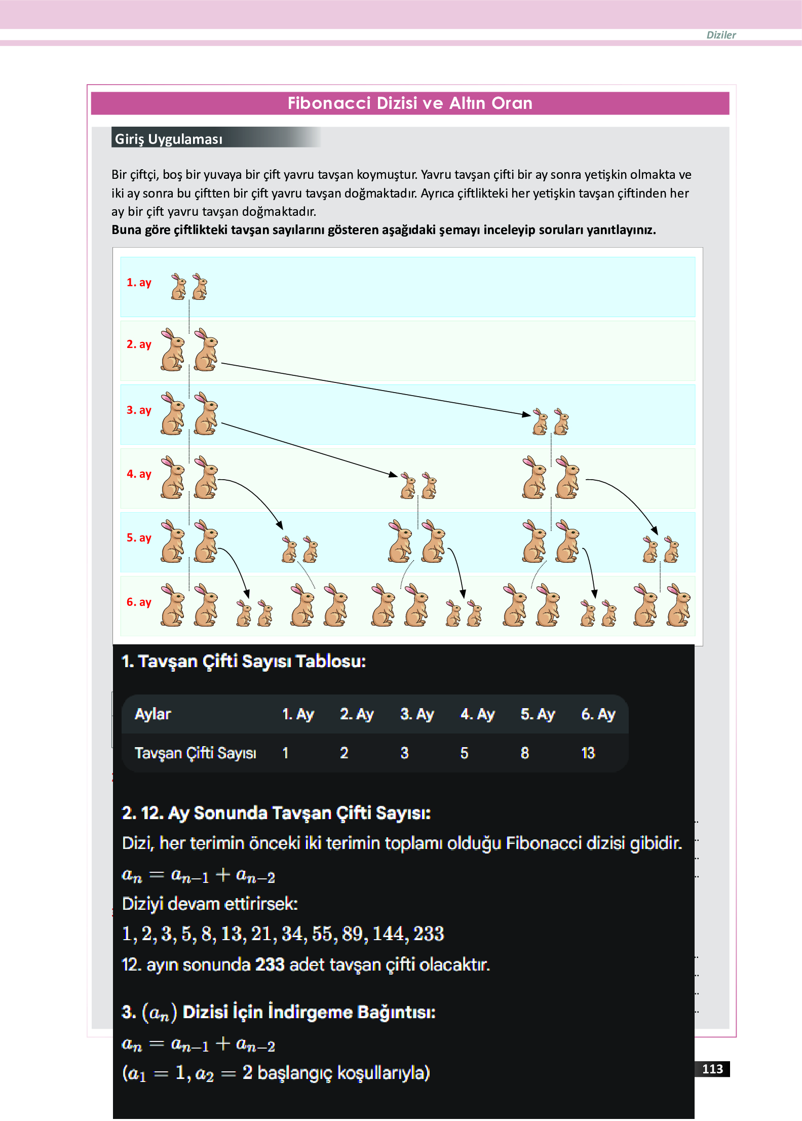 12. Sınıf Meb Yayınları Fen Lisesi Matematik Ders Kitabı Sayfa 113 Cevapları
