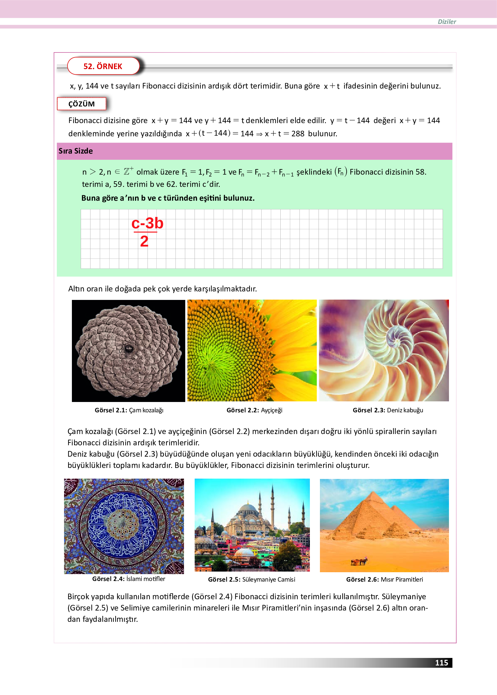 12. Sınıf Meb Yayınları Fen Lisesi Matematik Ders Kitabı Sayfa 115 Cevapları