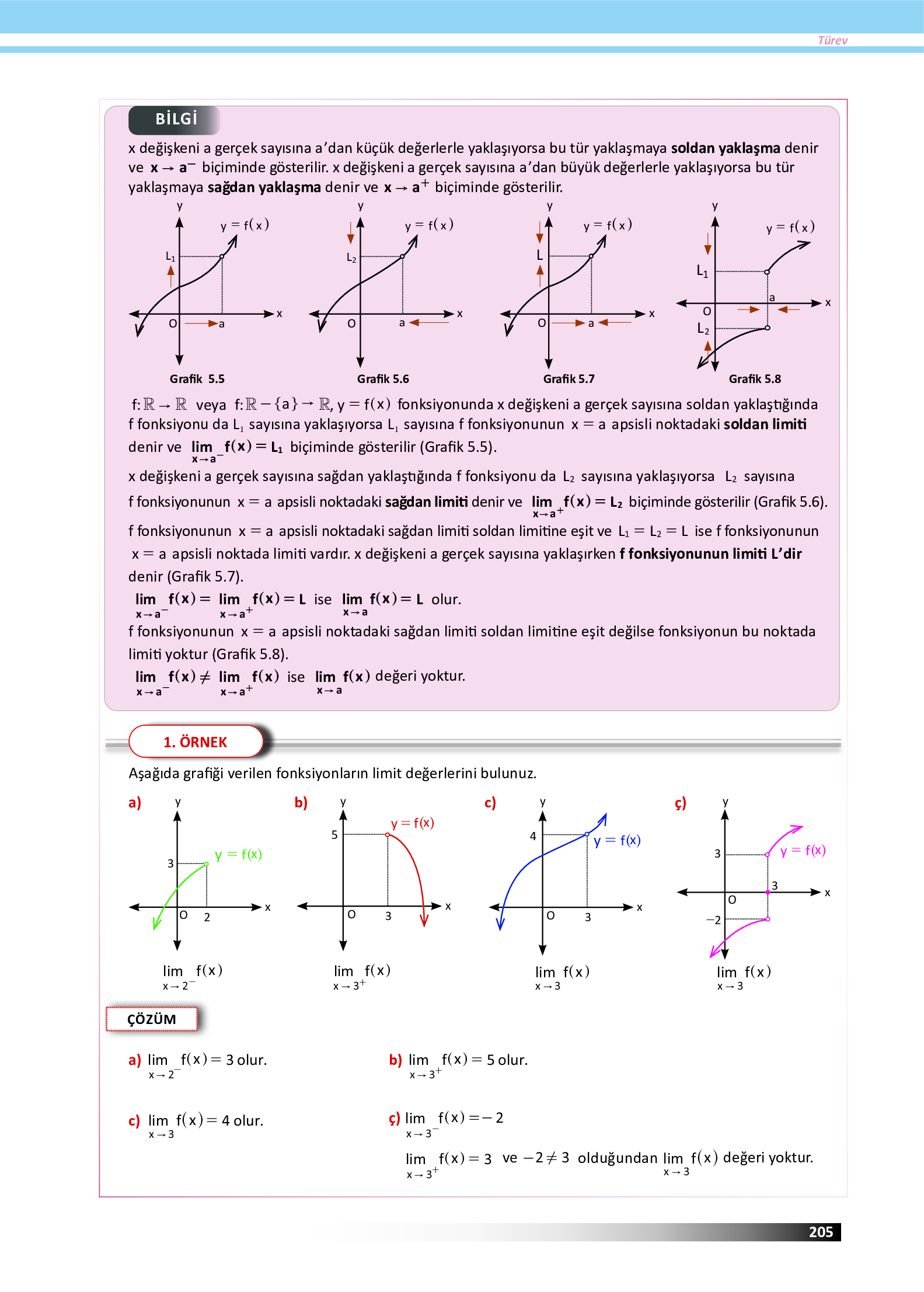 12. Sınıf Meb Yayınları Fen Lisesi Matematik Ders Kitabı Sayfa 205 Cevapları