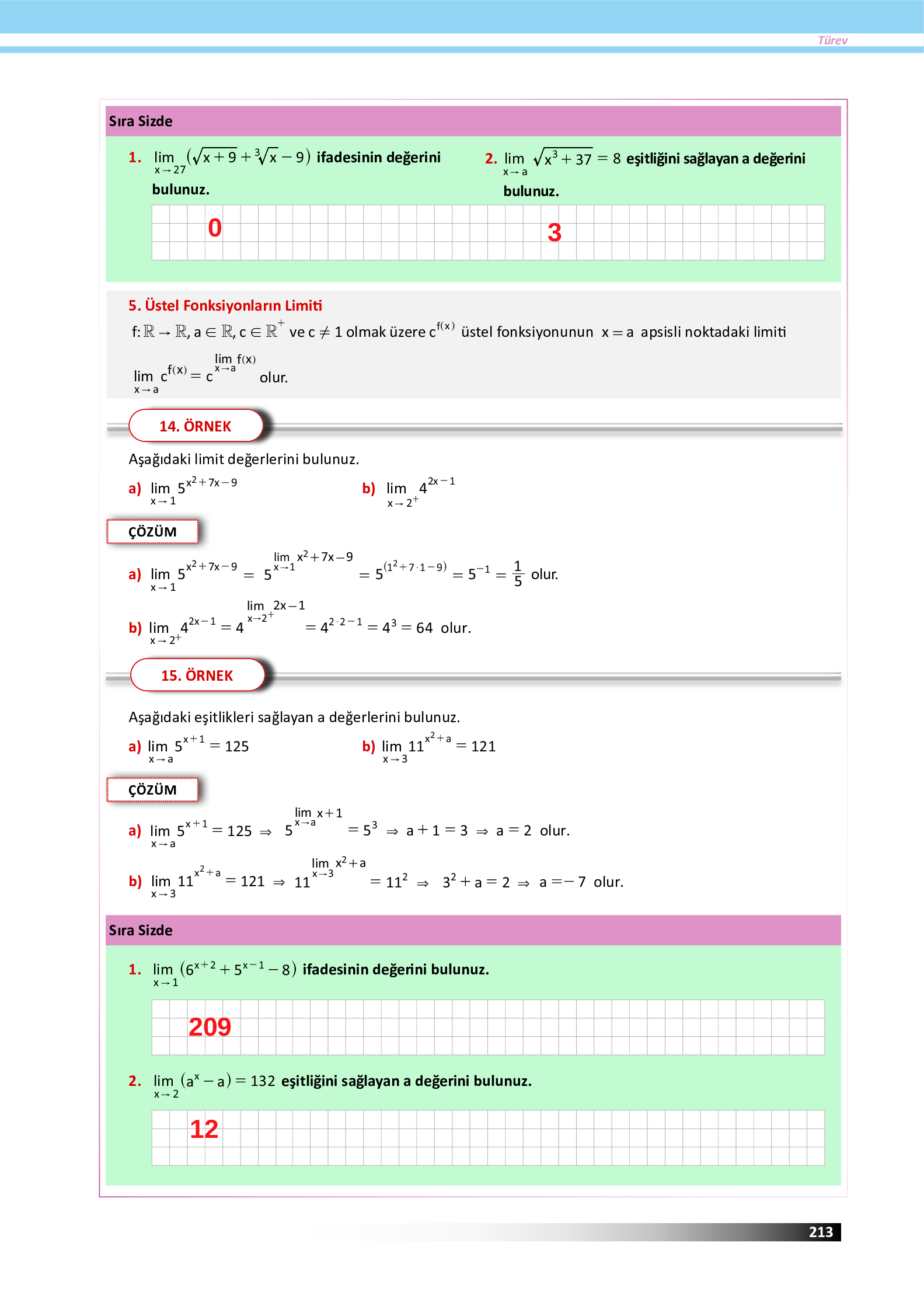 12. Sınıf Meb Yayınları Fen Lisesi Matematik Ders Kitabı Sayfa 213 Cevapları