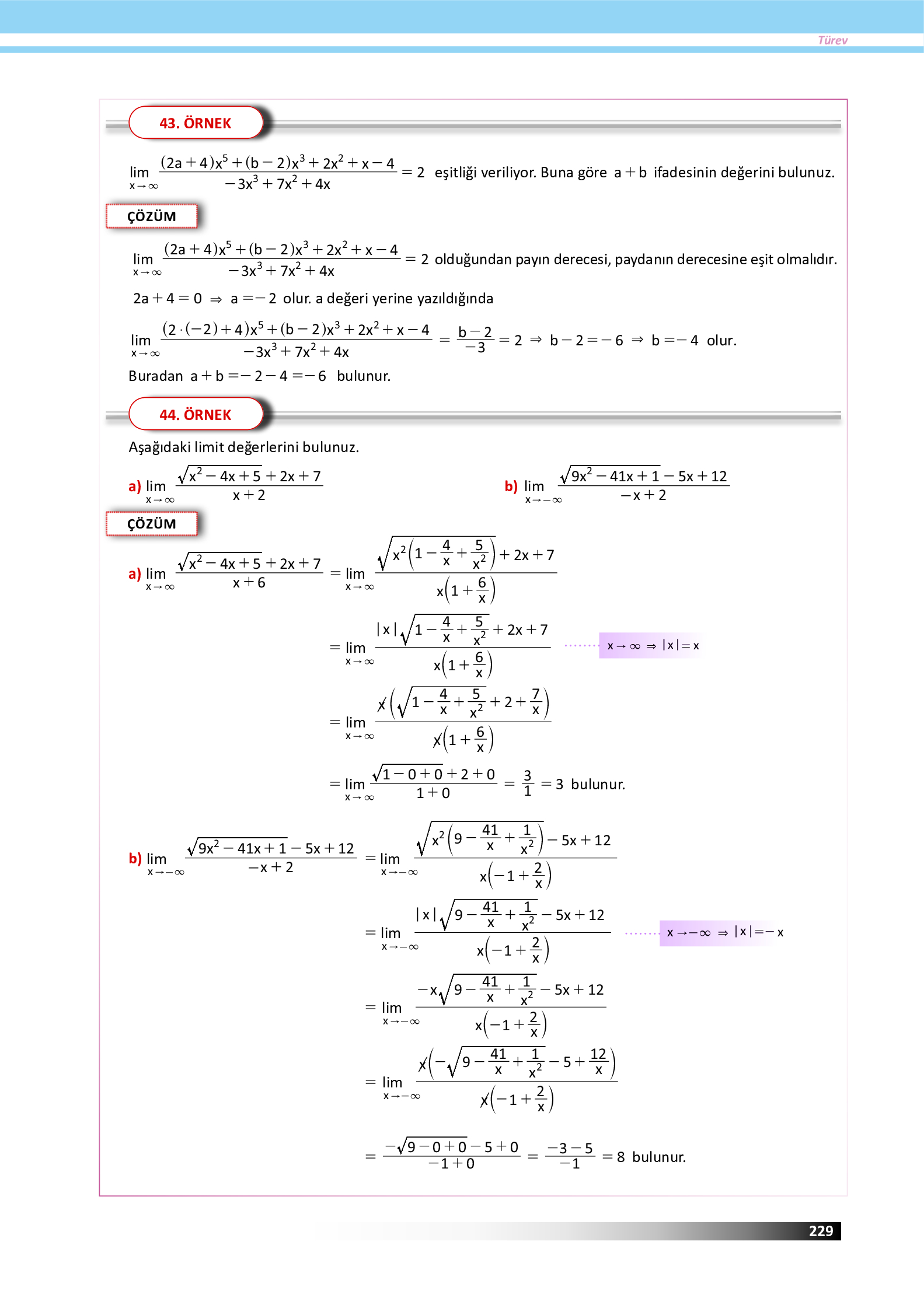 12. Sınıf Meb Yayınları Fen Lisesi Matematik Ders Kitabı Sayfa 229 Cevapları