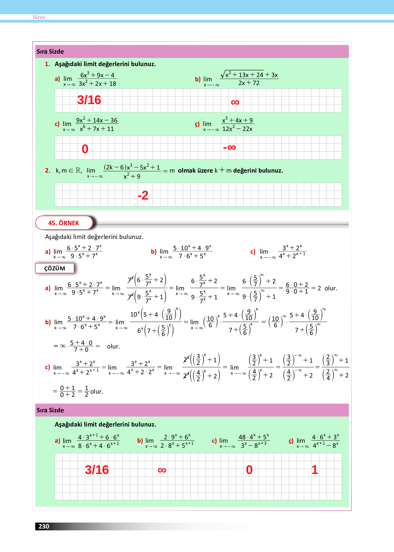 12. Sınıf Meb Yayınları Fen Lisesi Matematik Ders Kitabı Sayfa 230 Cevapları